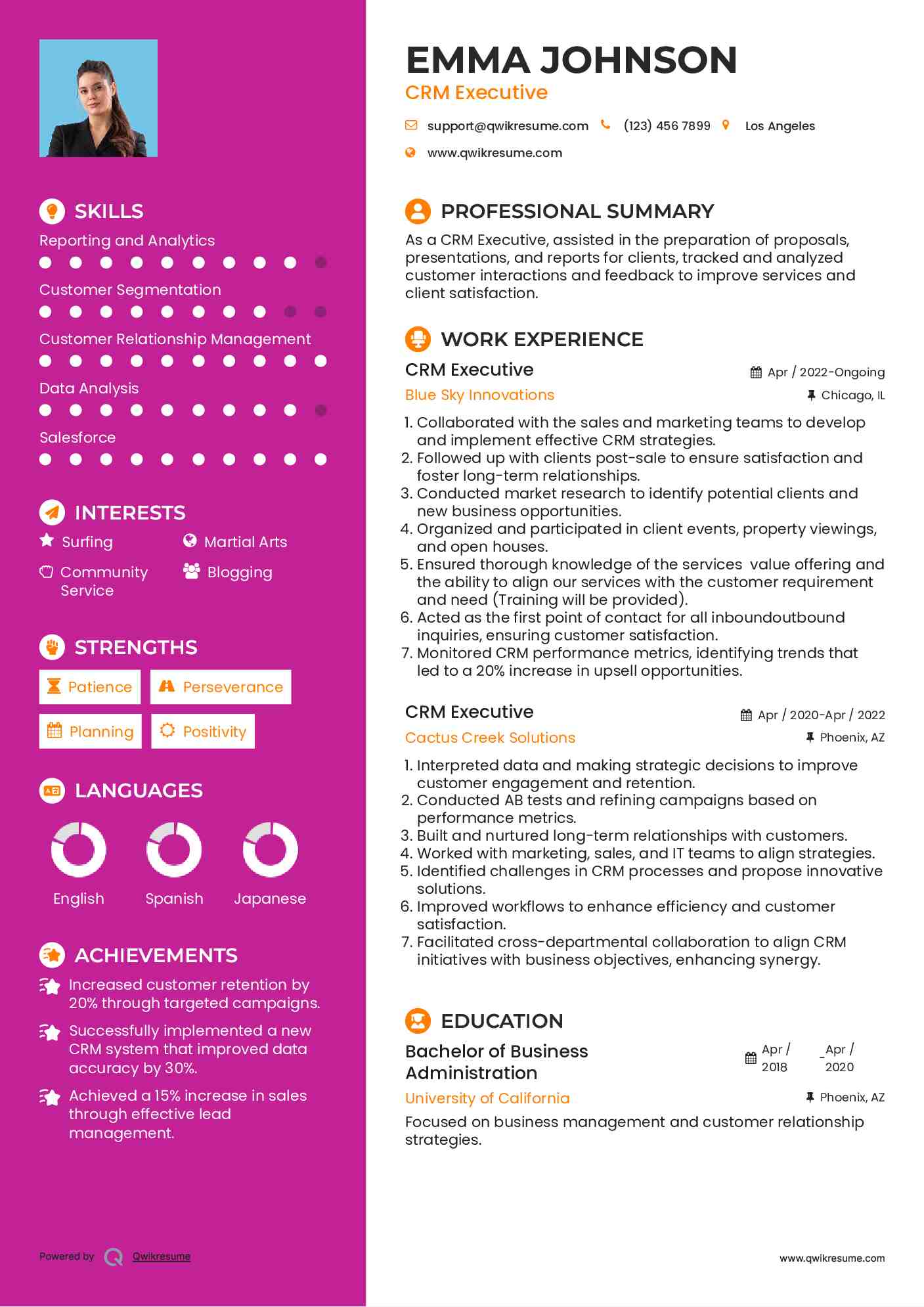 CRM Executive Resume Template