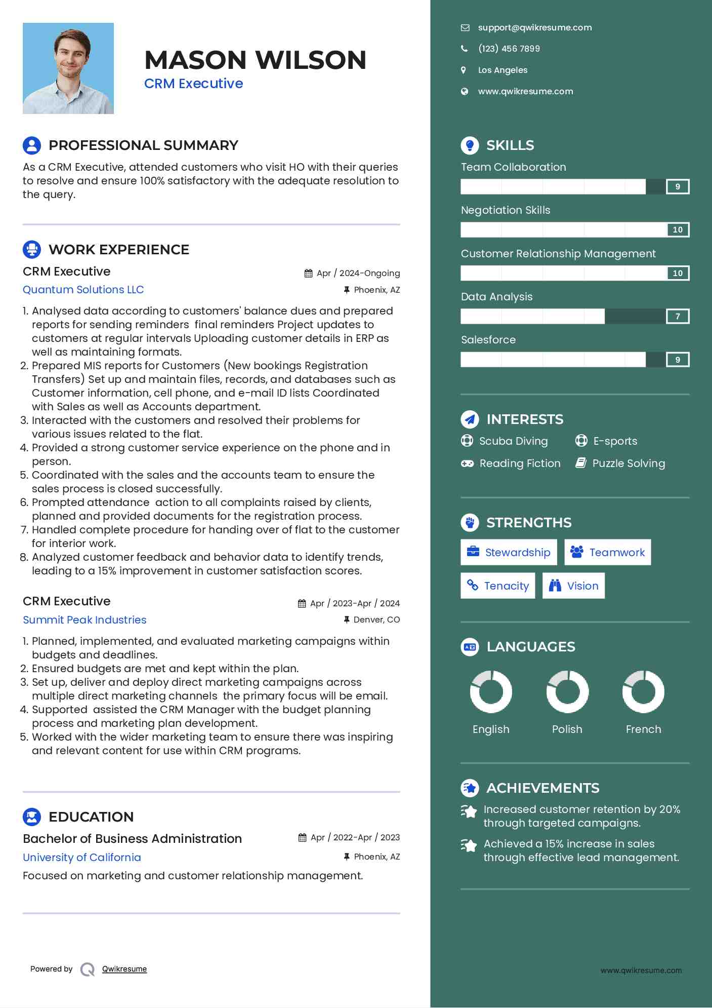 CRM Executive Resume Format