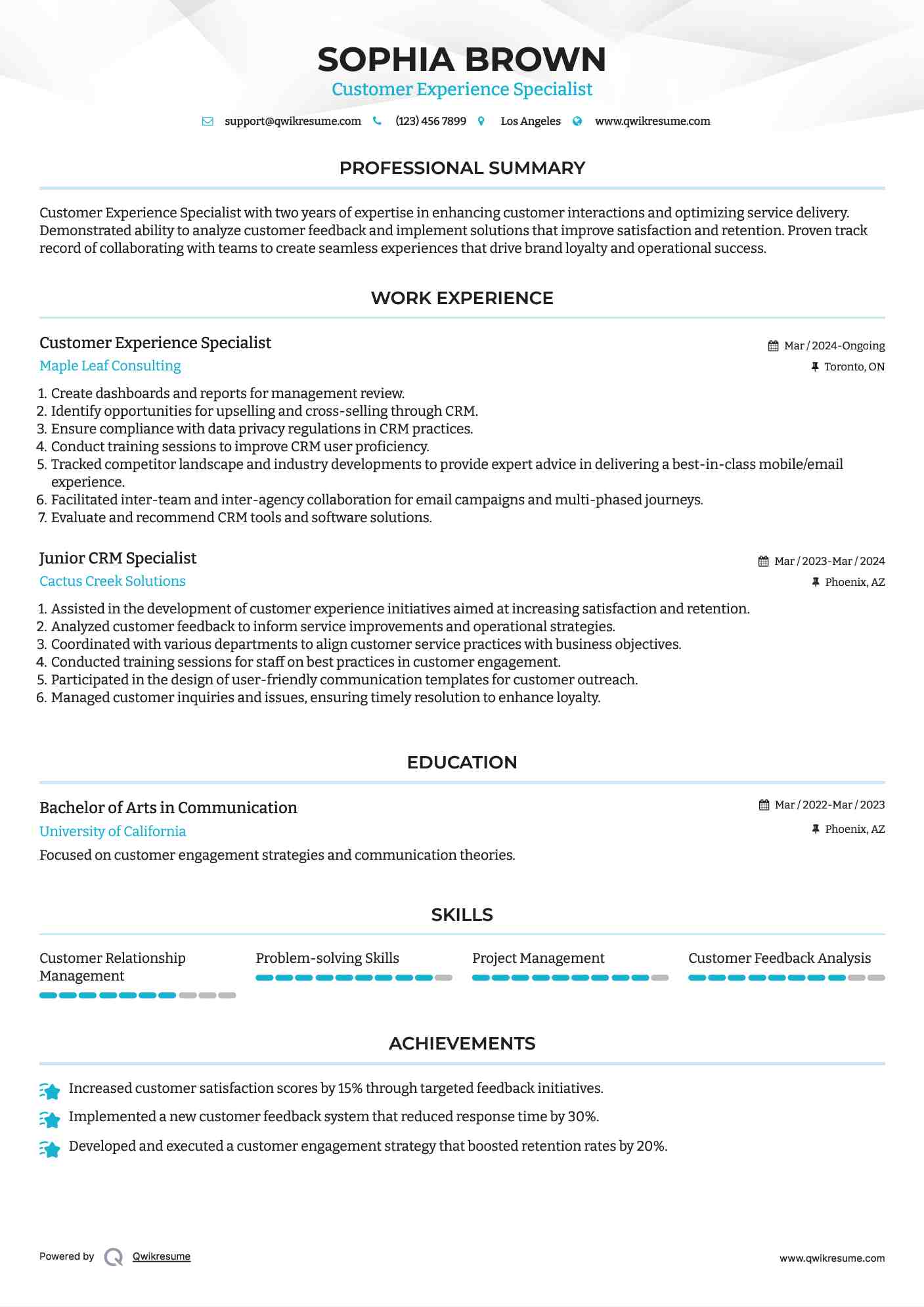 Customer Experience Specialist Resume Format