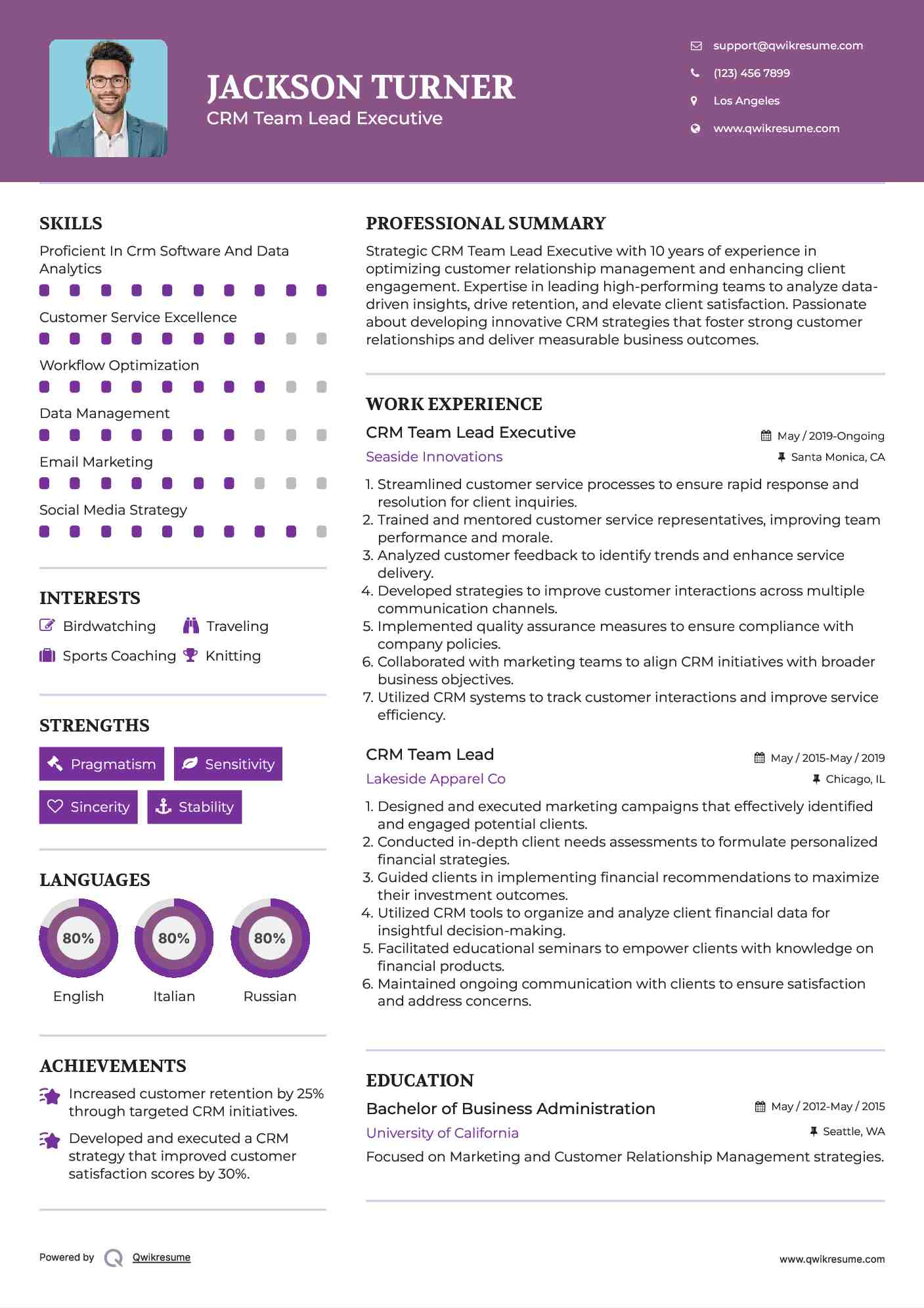 CRM Team Lead Executive Resume Template
