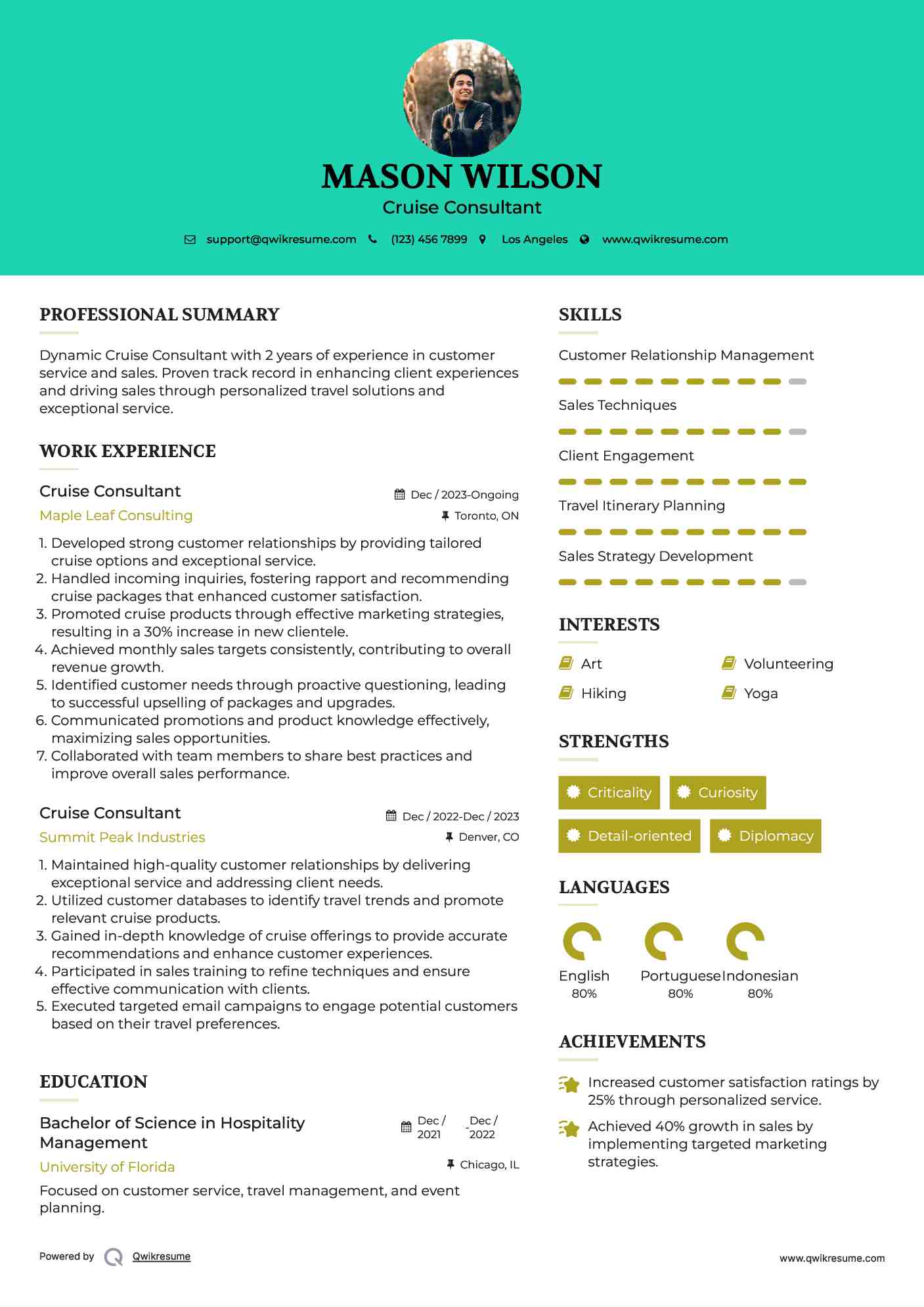 Cruise Consultant Resume Model