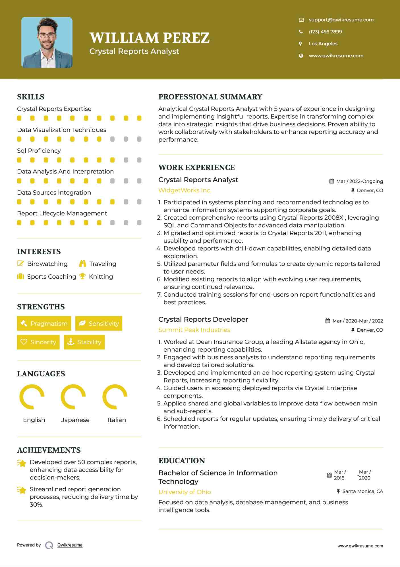 Crystal Reports Analyst Resume Example