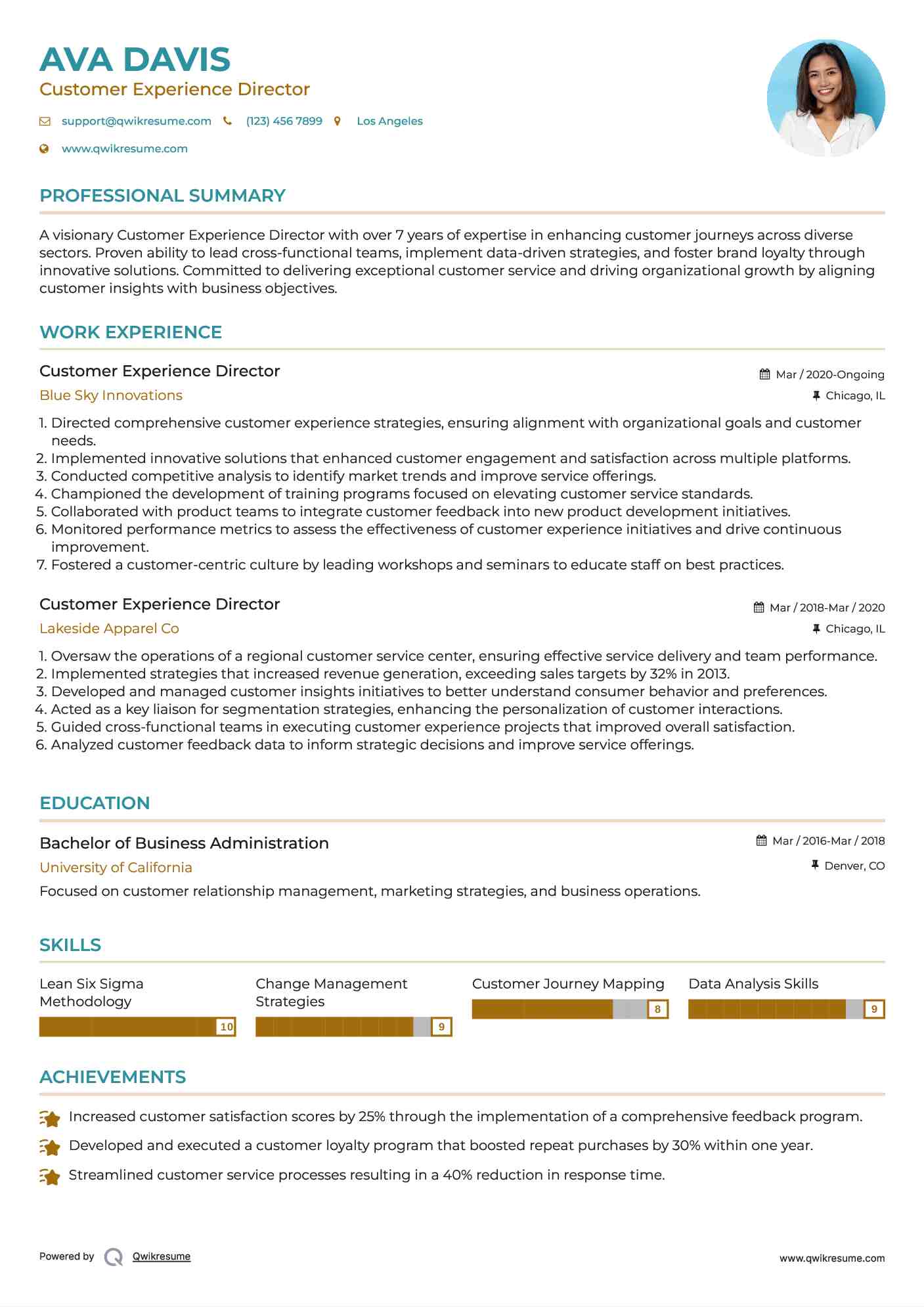 Customer Experience Director Resume Example