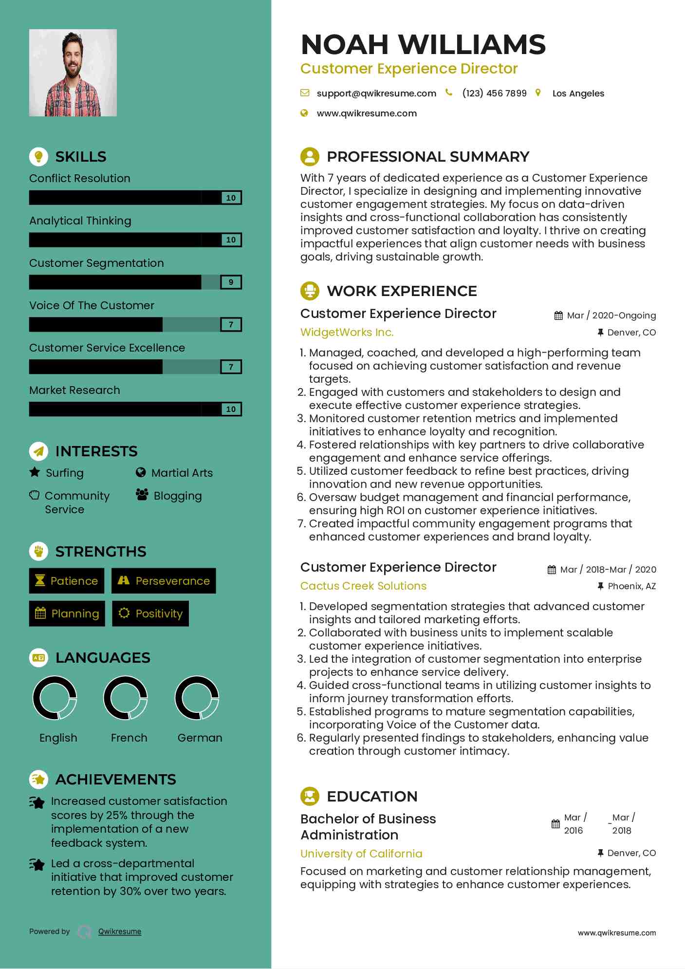 Customer Experience Director Resume Model