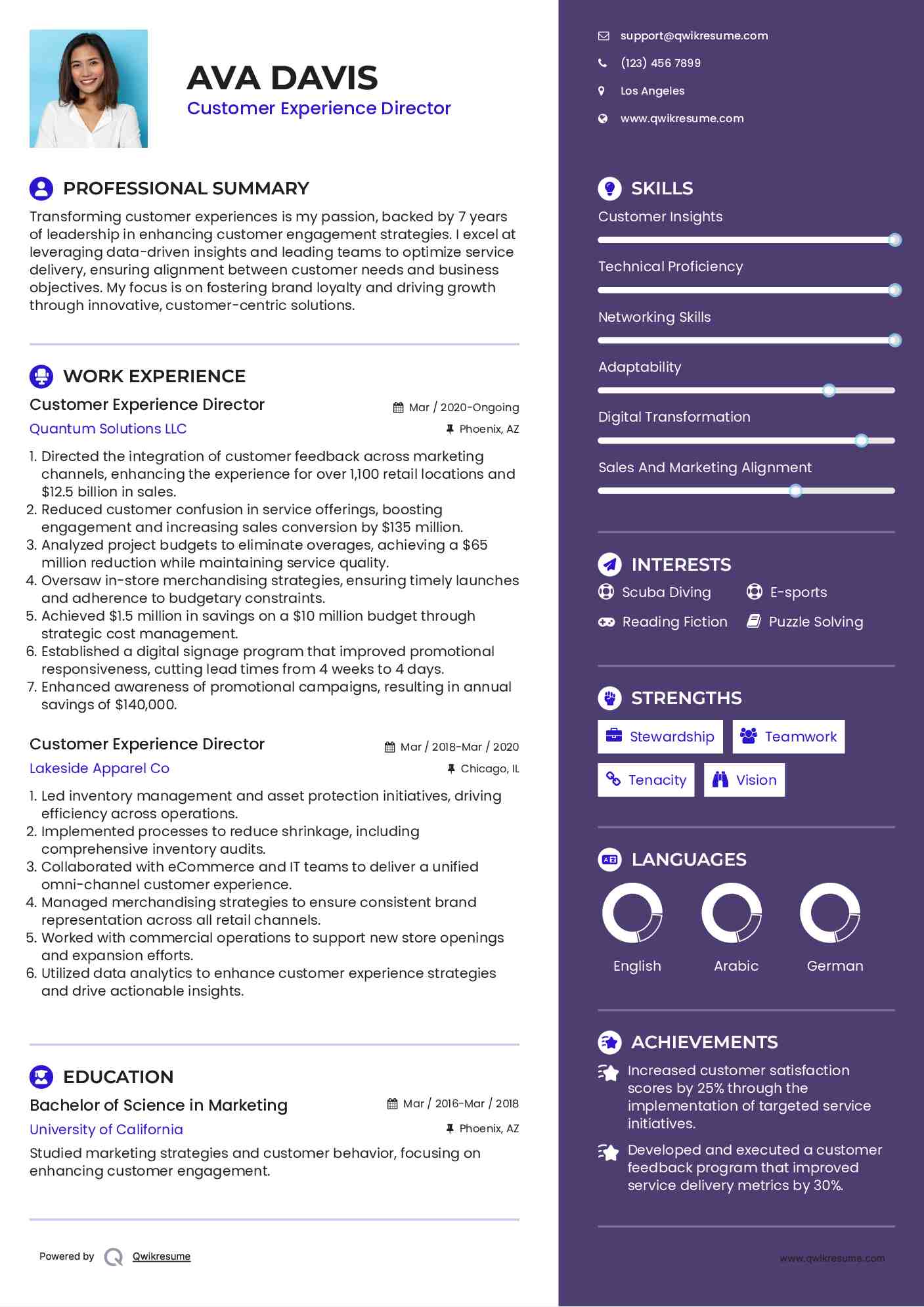 Customer Experience Director Resume Model