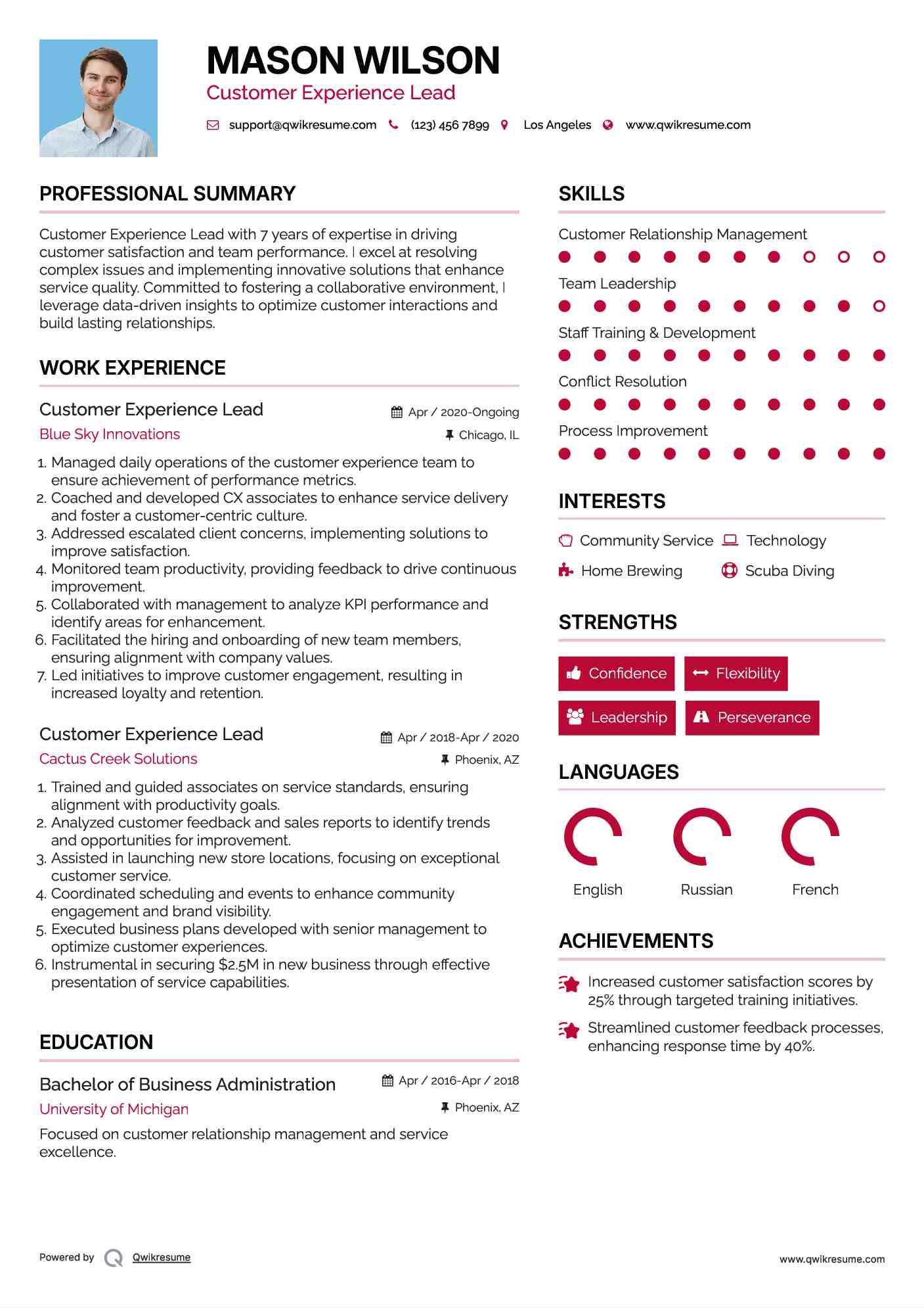 Customer Experience Lead Resume Example