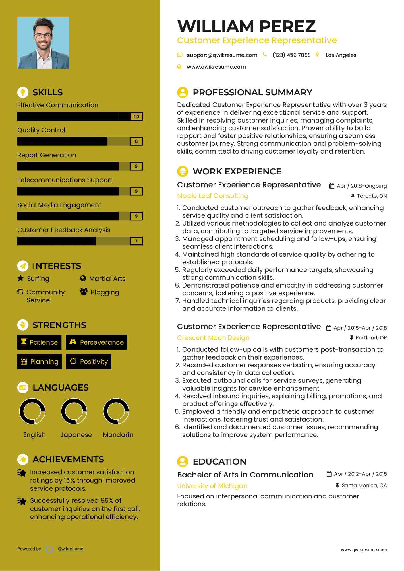 Customer Experience Representative Resume Sample