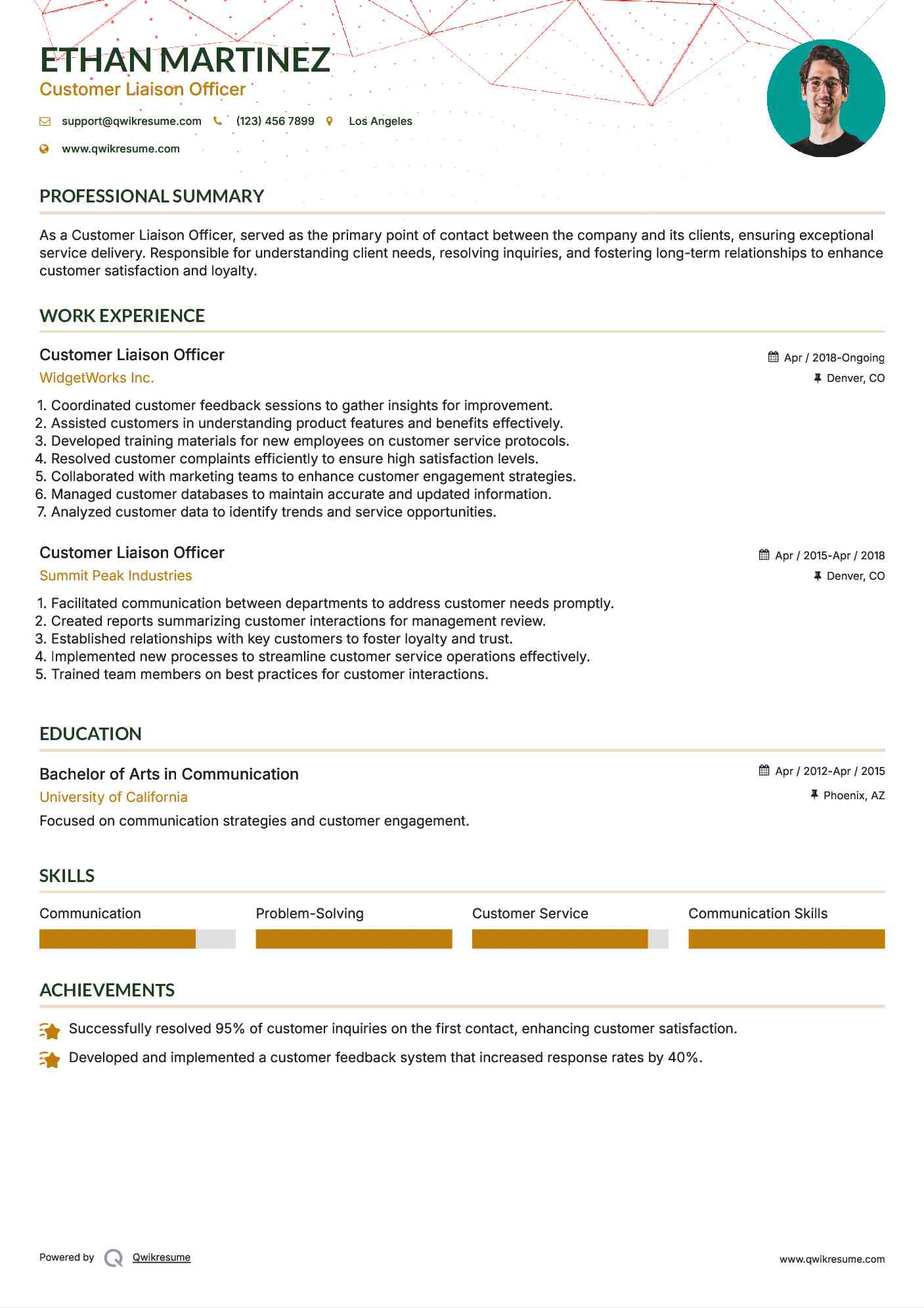 Customer Liaison Officer Resume Template