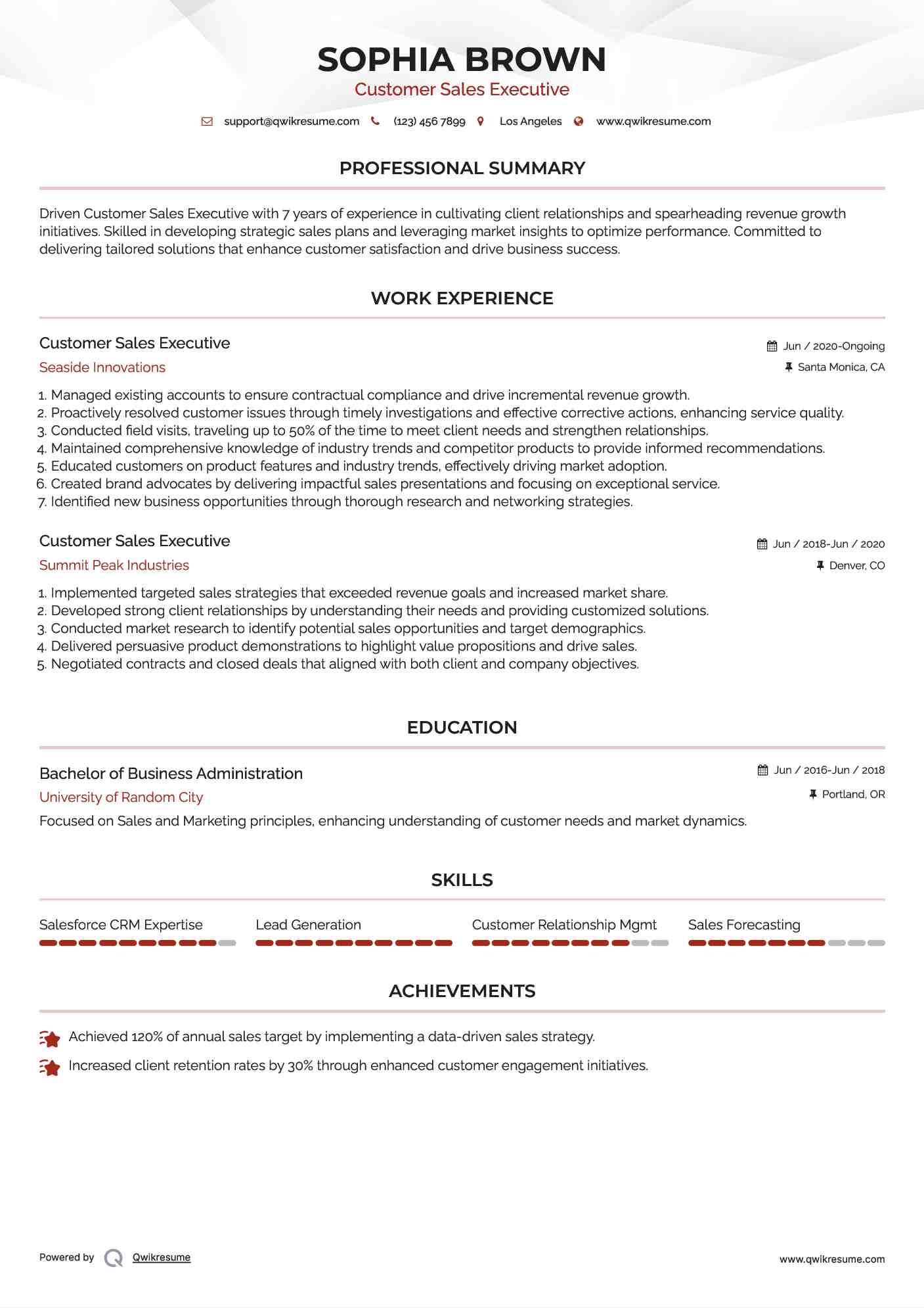 Customer Sales Executive Resume Format