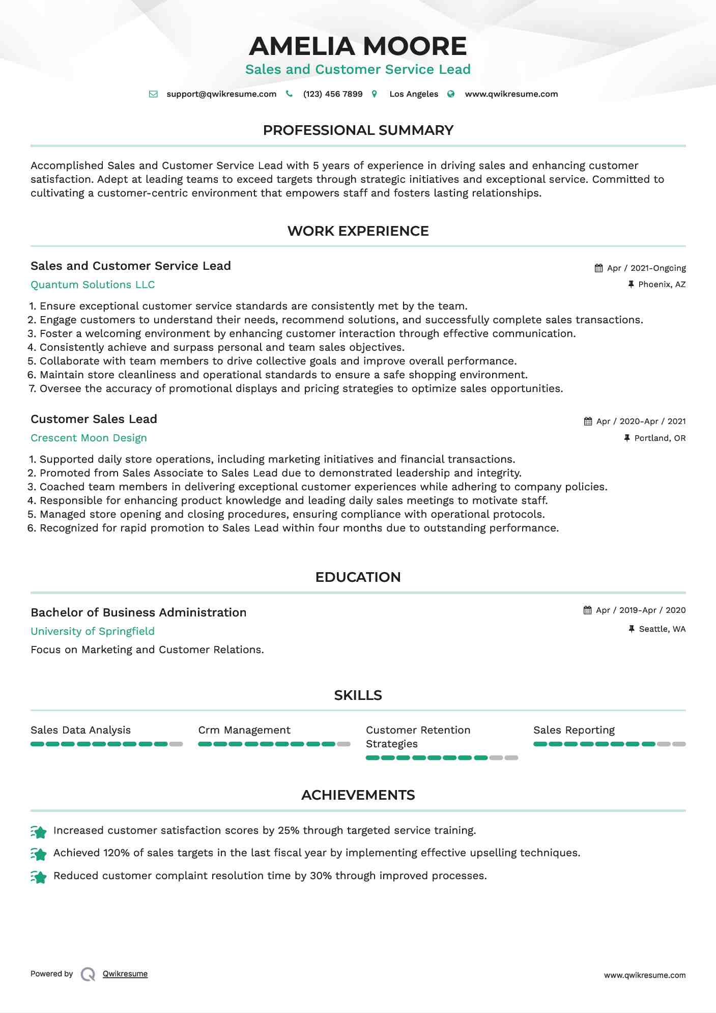 Sales and Customer Service Lead Resume Format