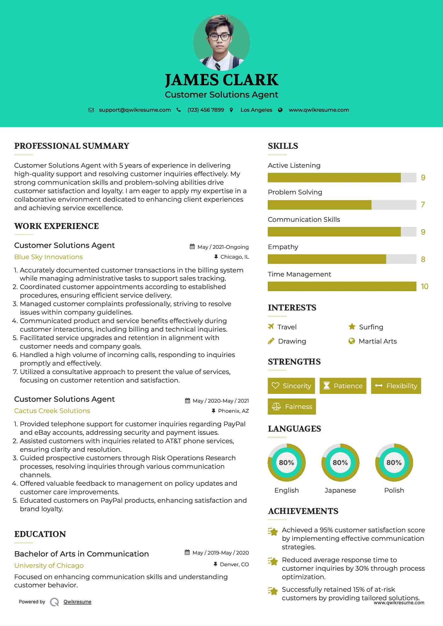 Customer Solutions Agent Resume Model