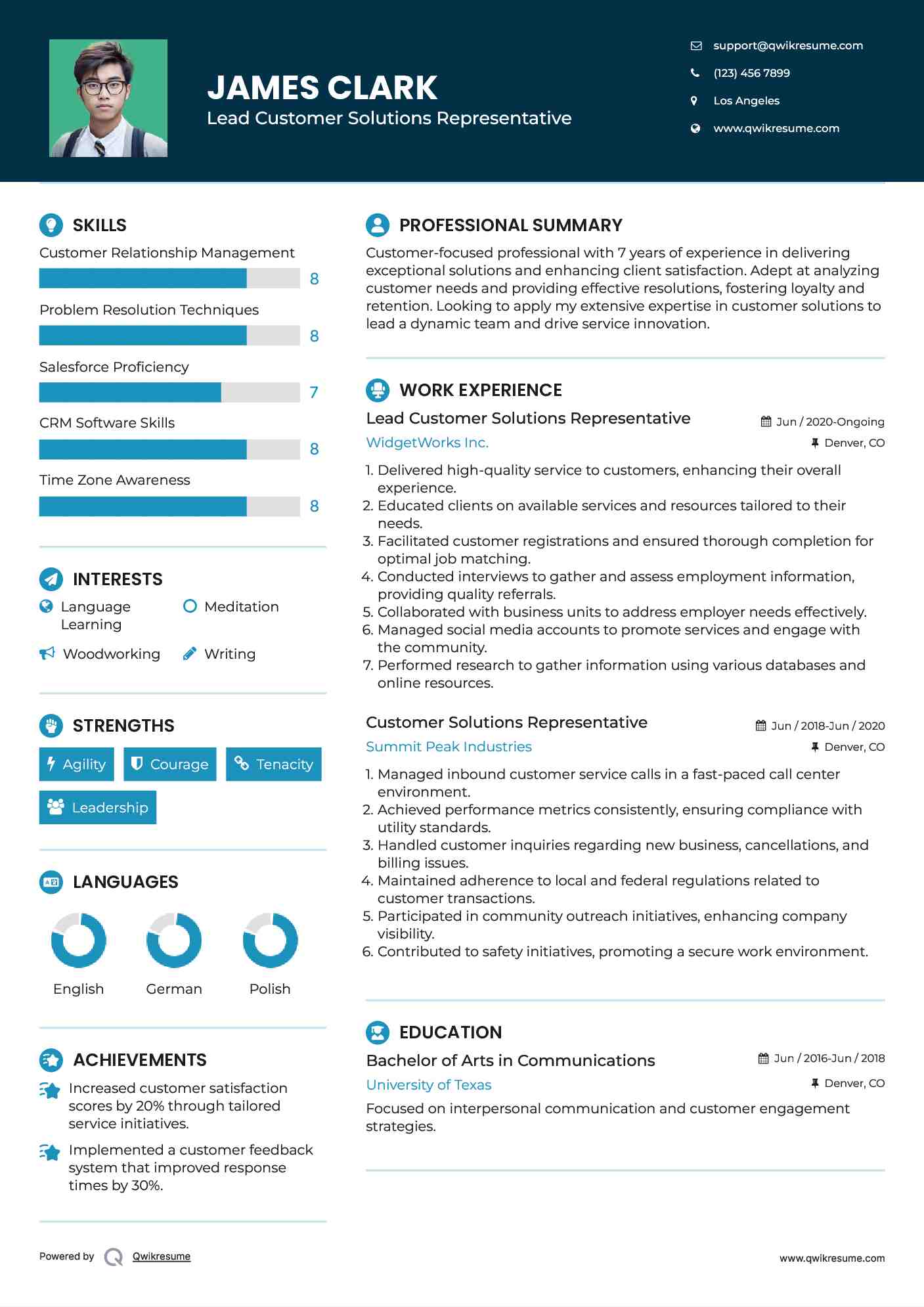 Lead Customer Solutions Representative Resume Format