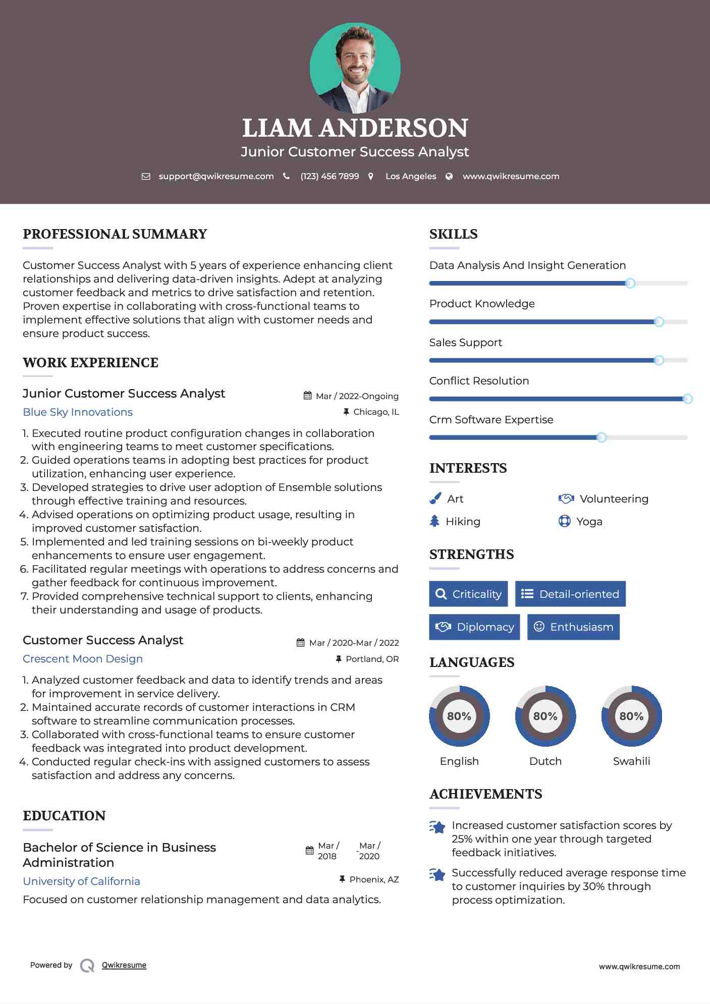 Junior Customer Success Analyst Resume Template