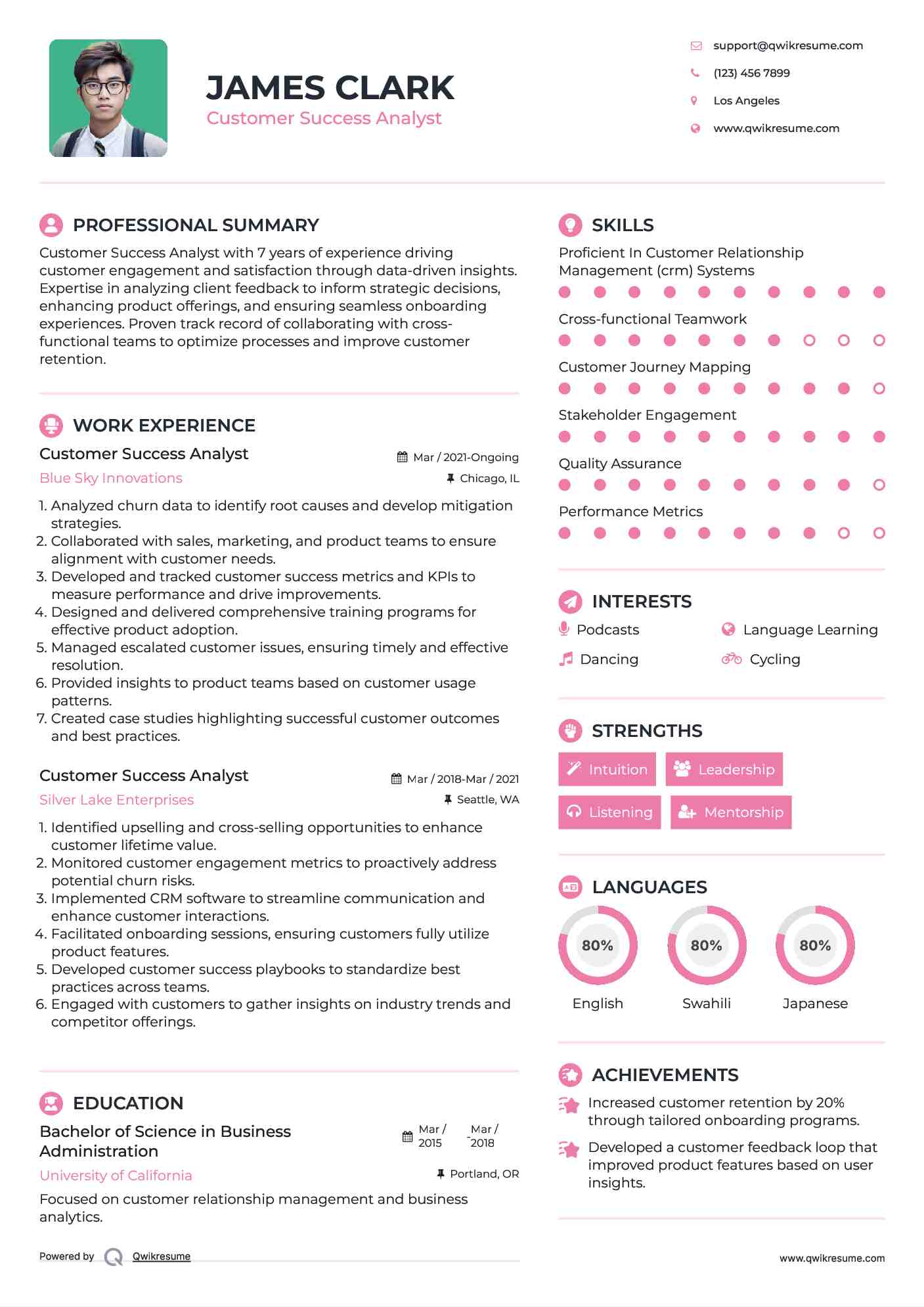 Customer Success Analyst Resume Model