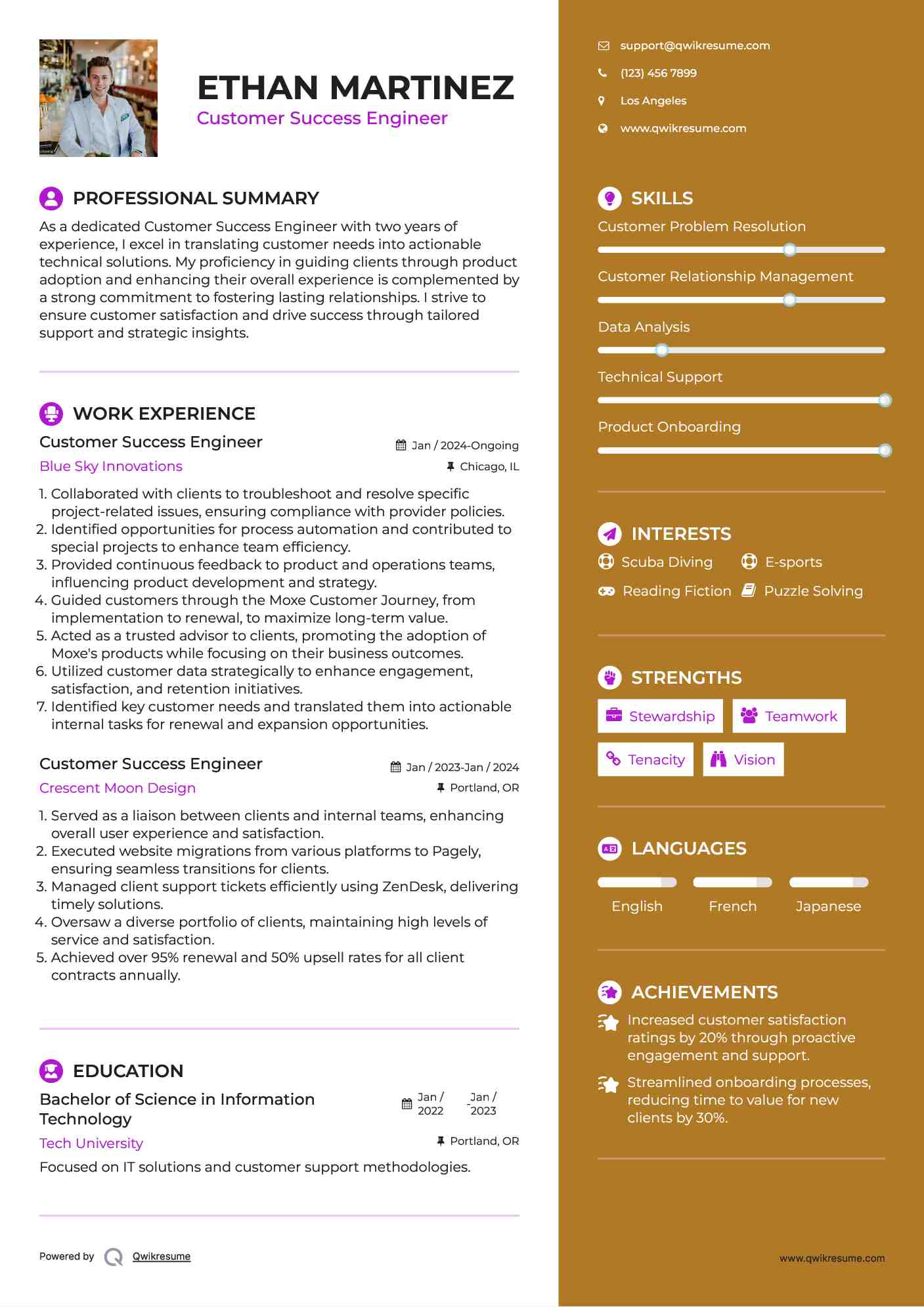 Customer Success Engineer Resume Model