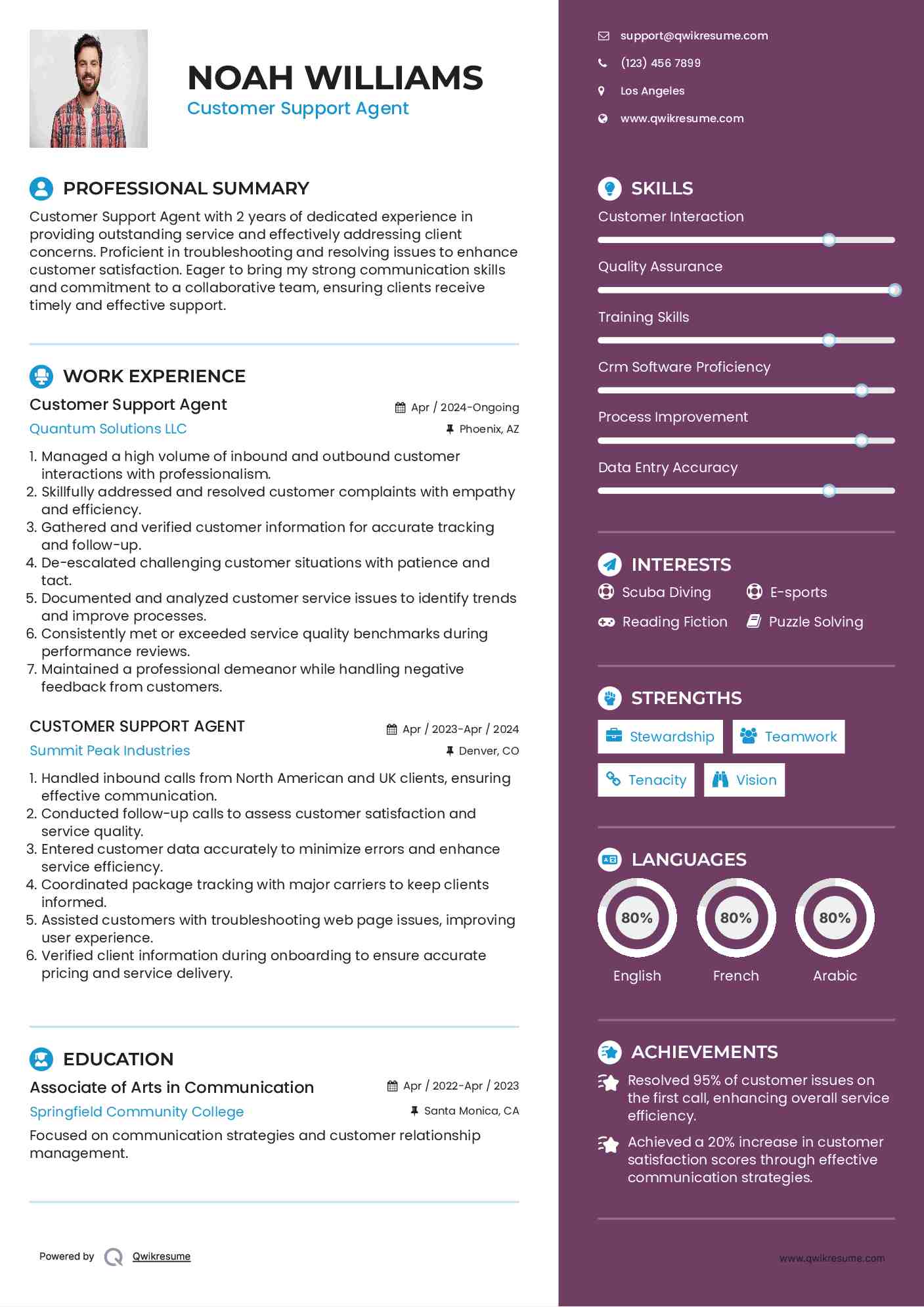 Customer Support Agent Resume Model