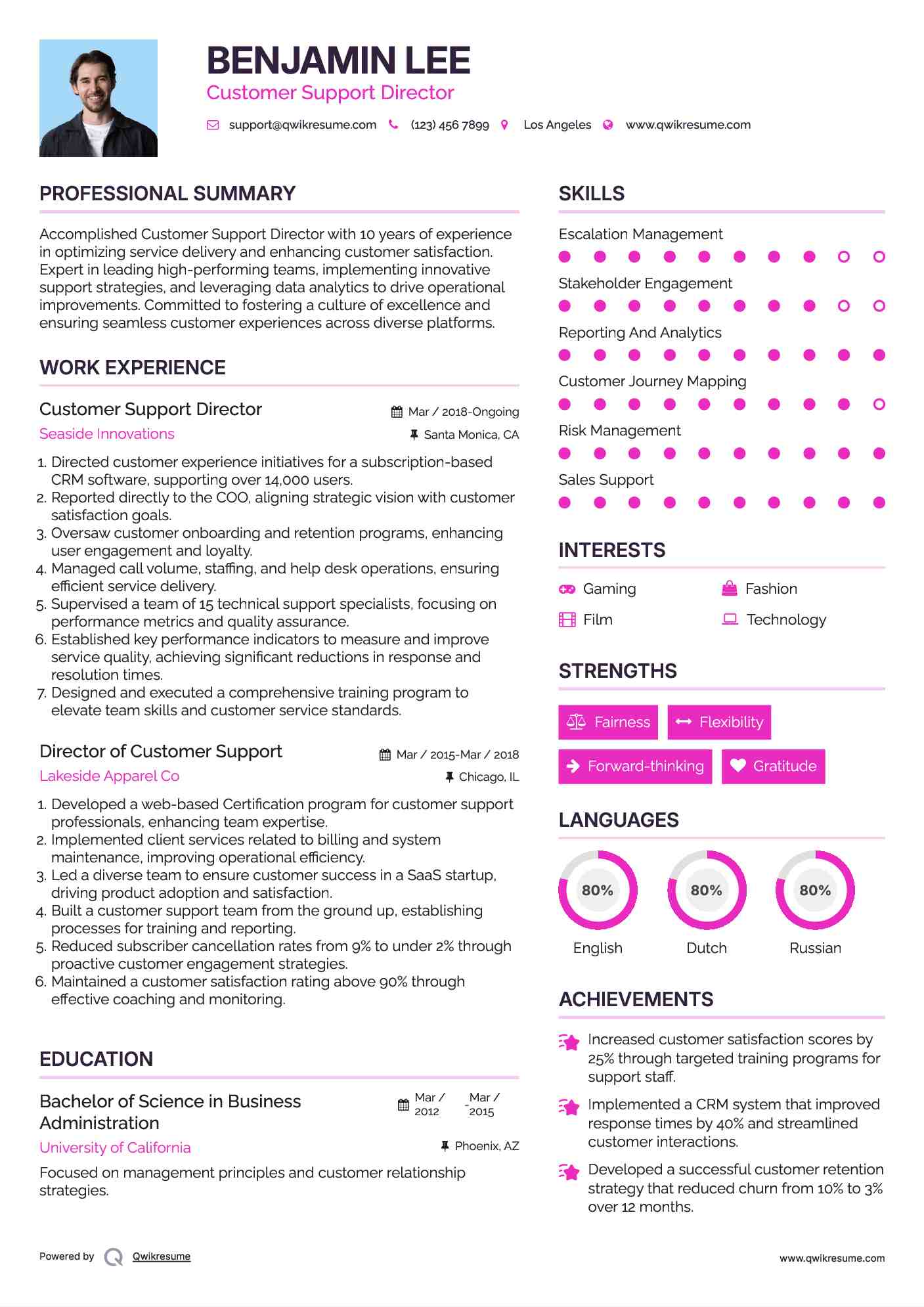 Customer Support Director Resume Sample