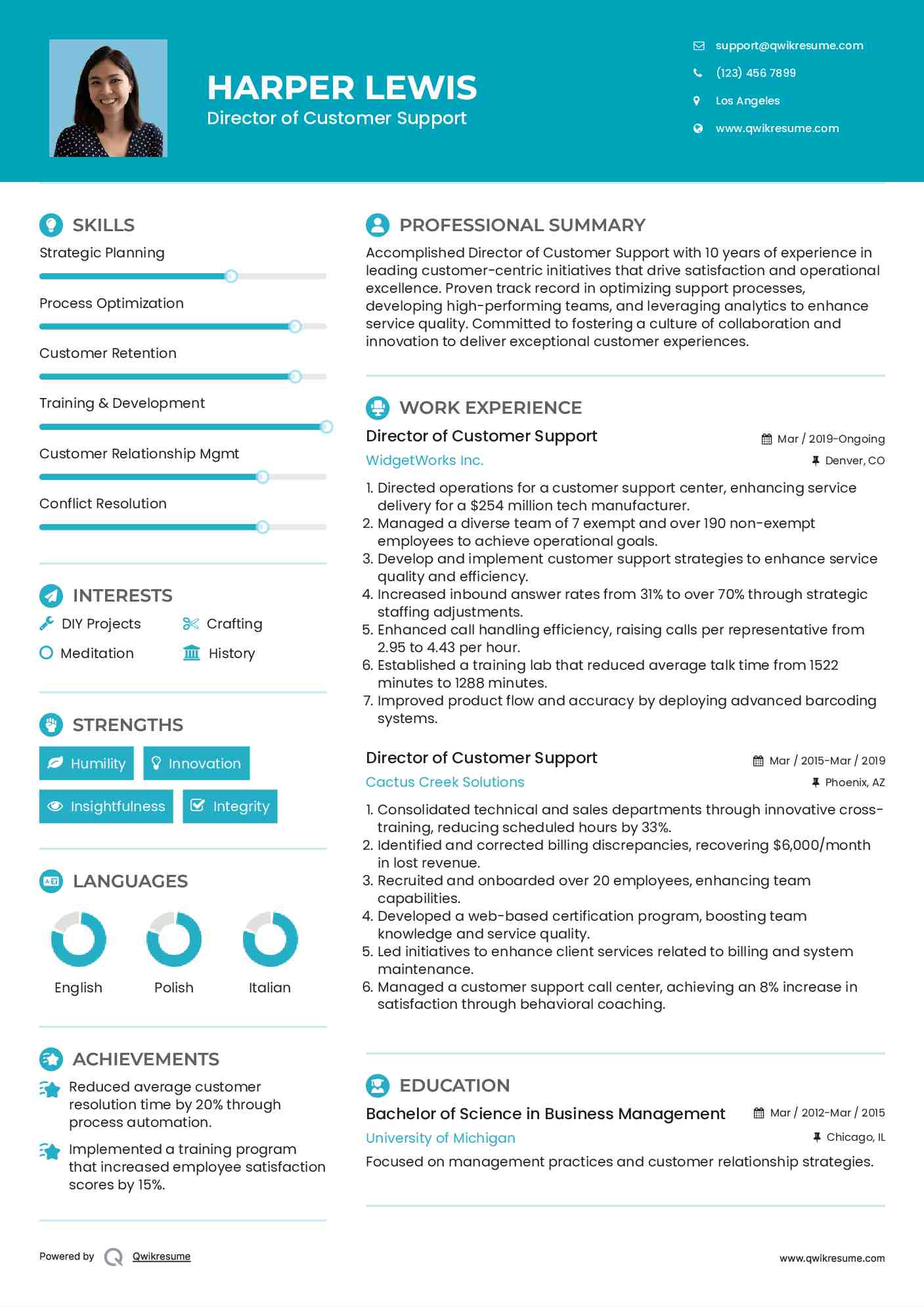Director of Customer Support Resume Sample