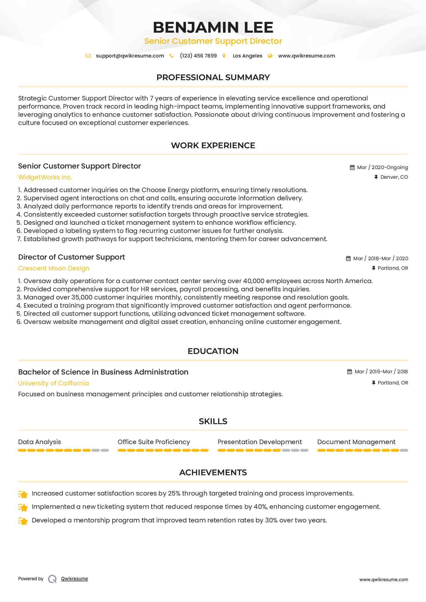 Senior Customer Support Director Resume Sample