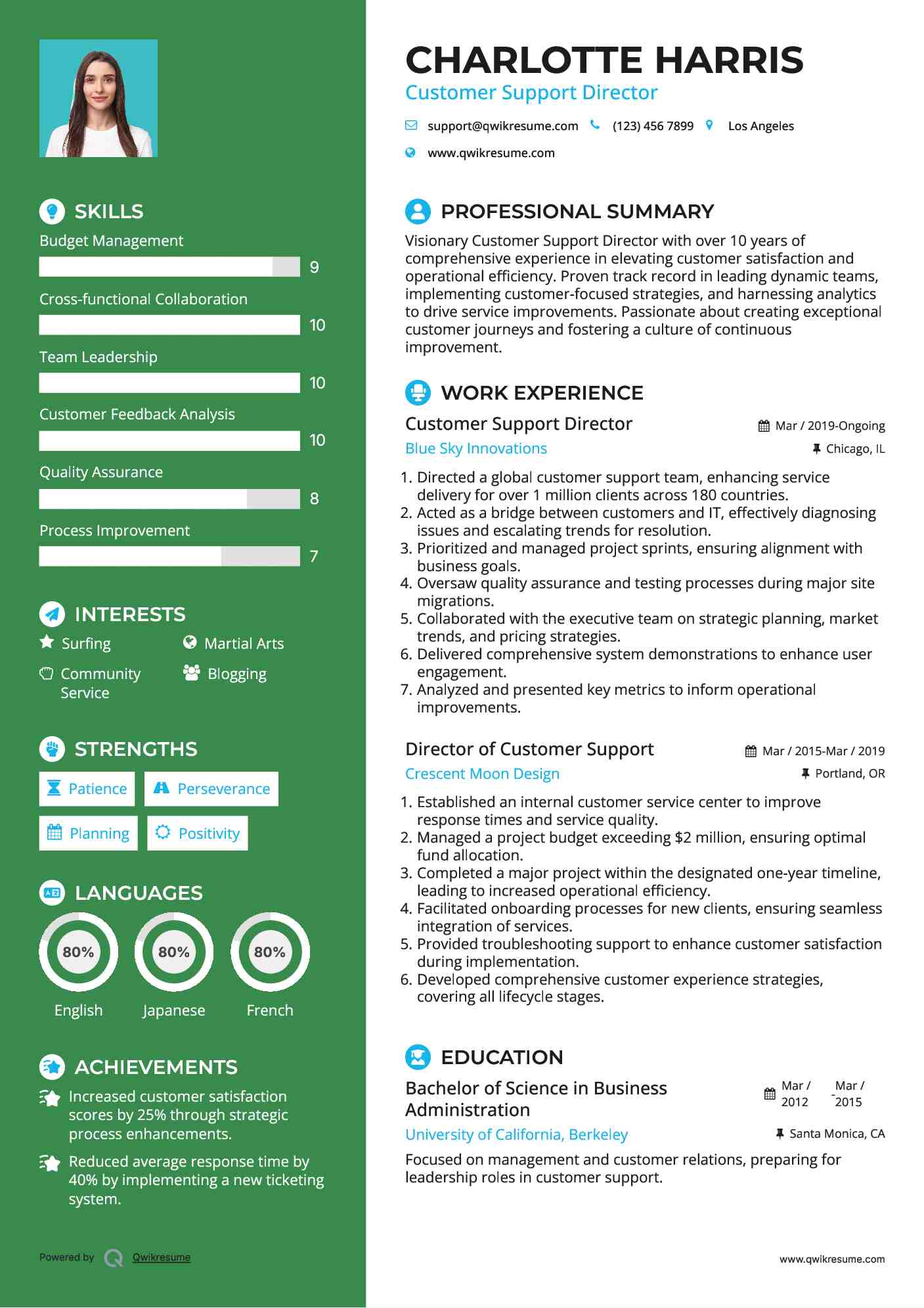 Customer Support Director Resume Sample