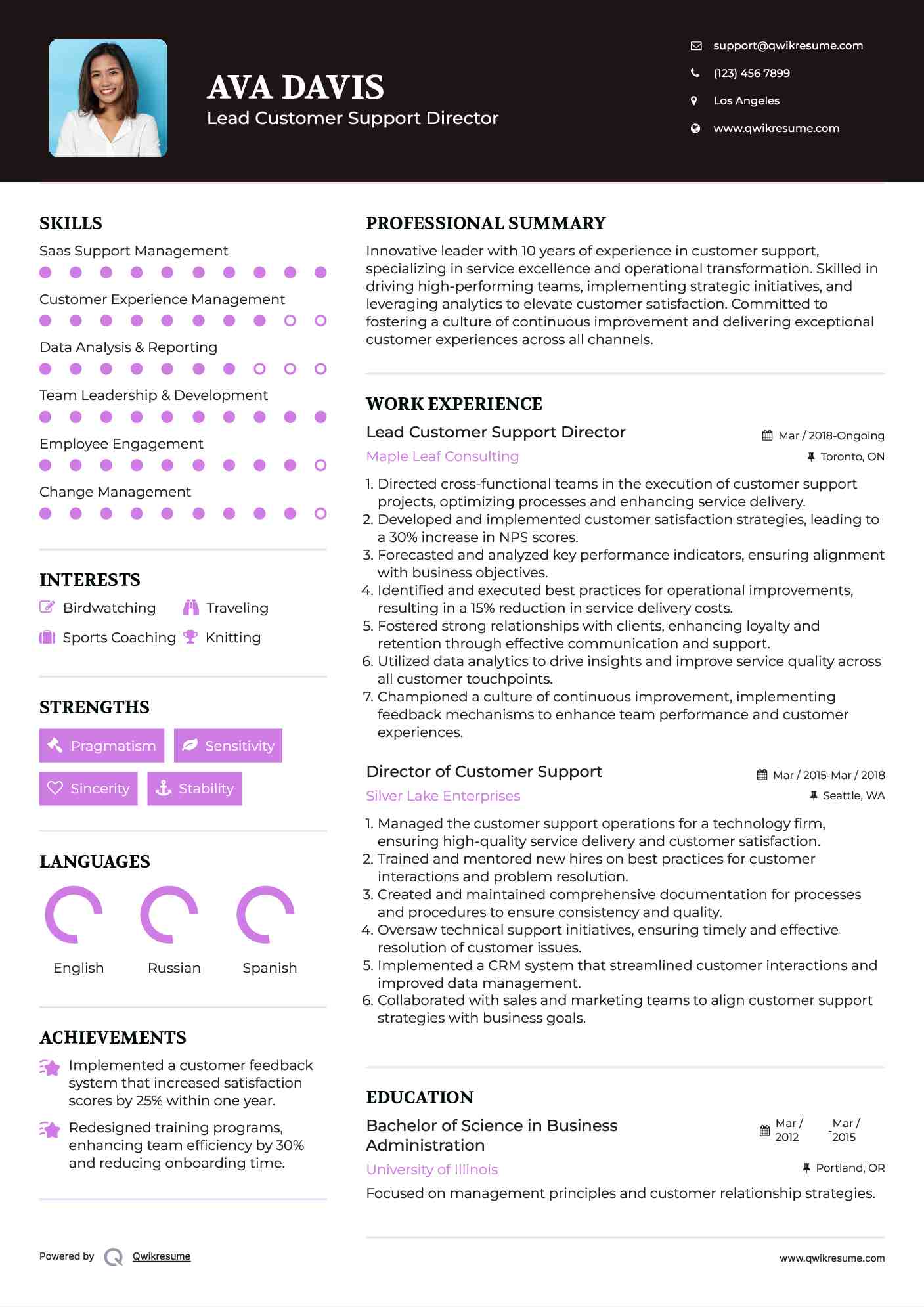 Lead Customer Support Director Resume Sample