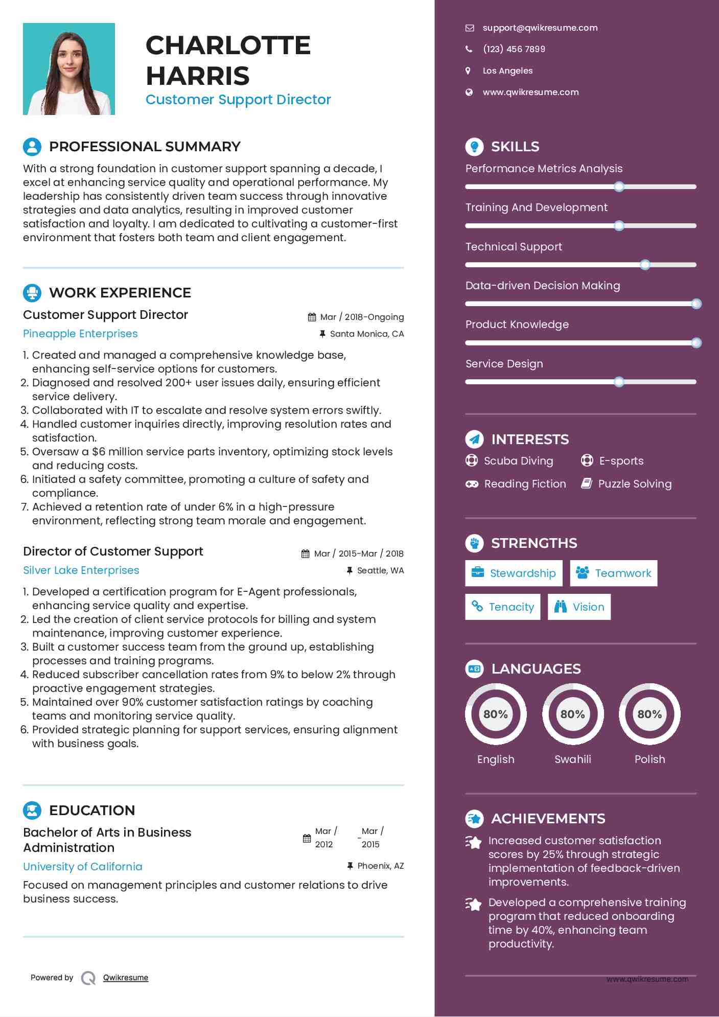 Customer Support Director Resume Template