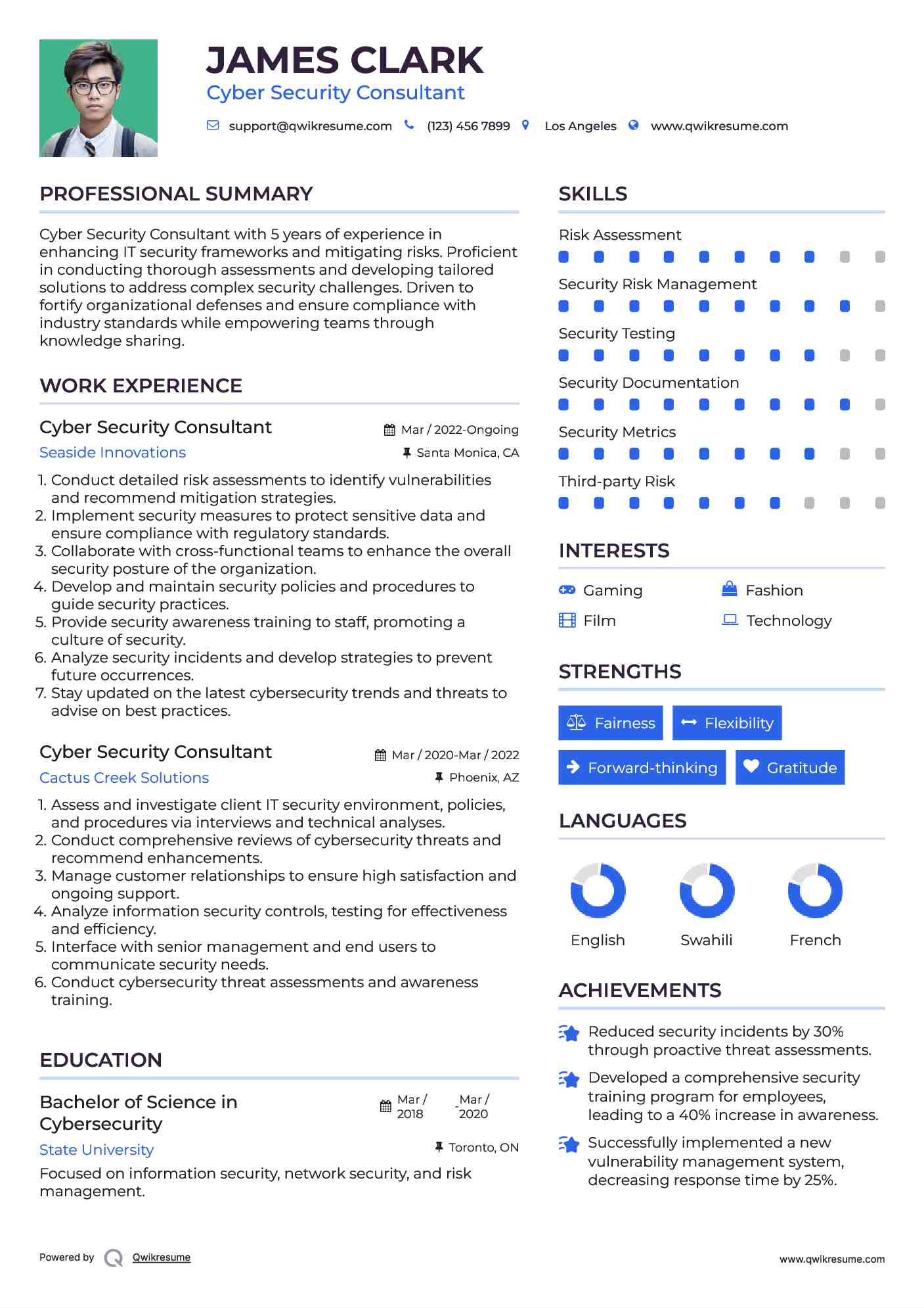 Cyber Security Consultant Resume Example