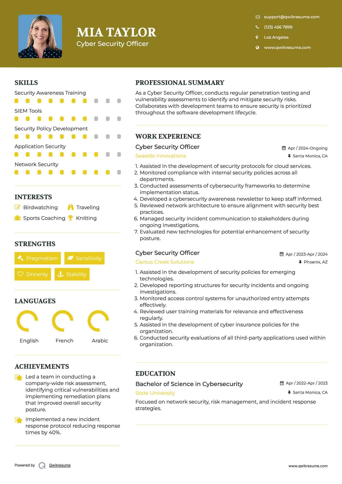 Cyber Security Officer Resume Format