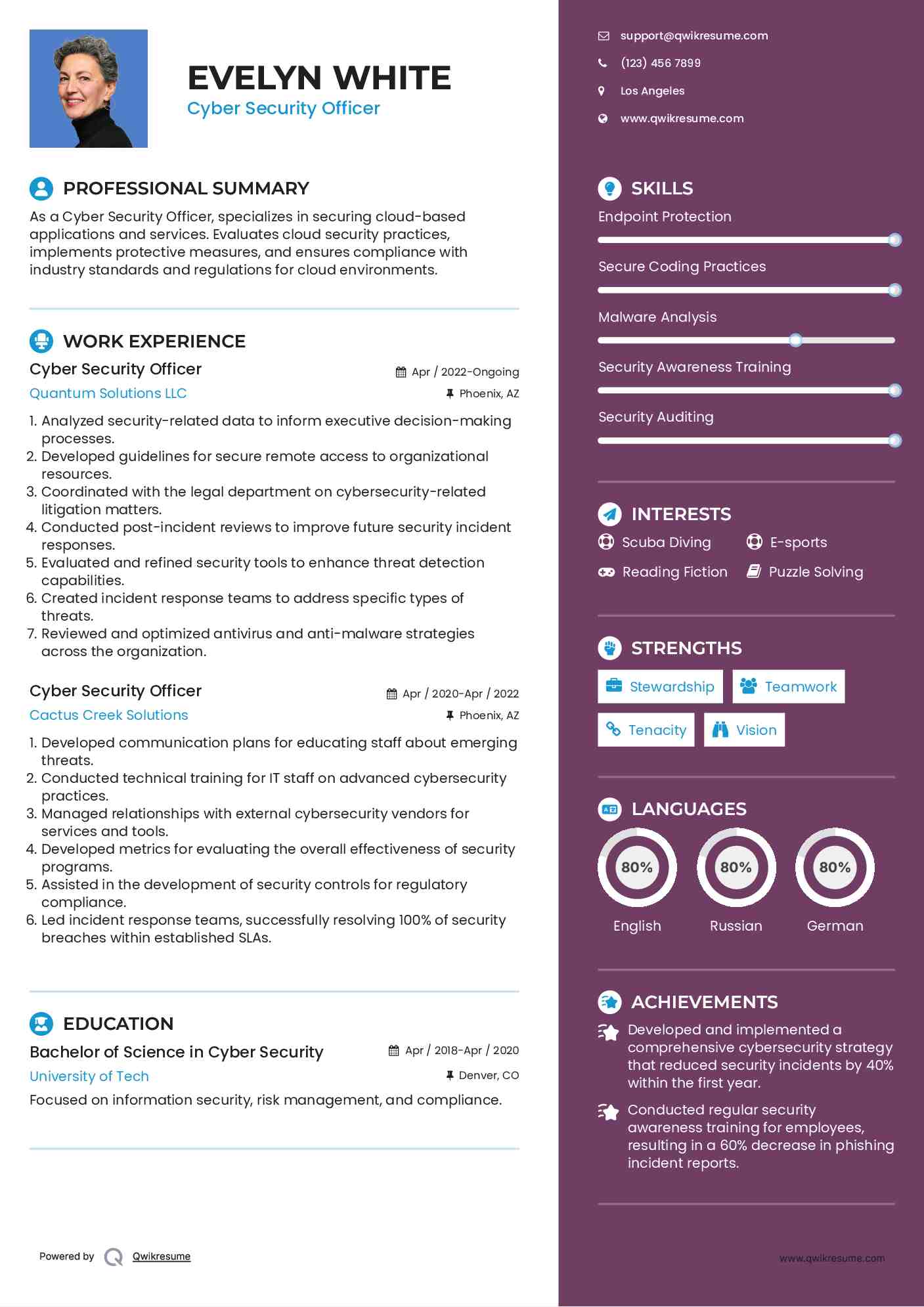 Cyber Security Officer Resume Format
