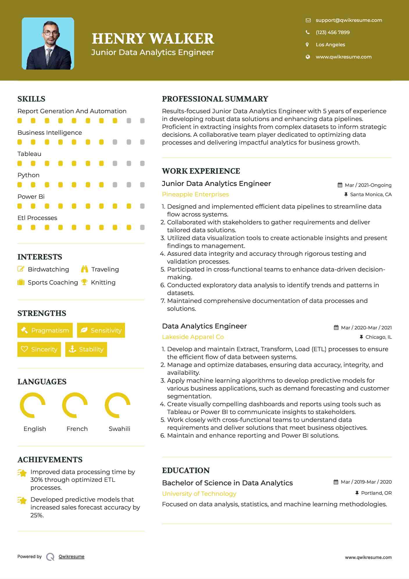 Junior Data Analytics Engineer Resume Template