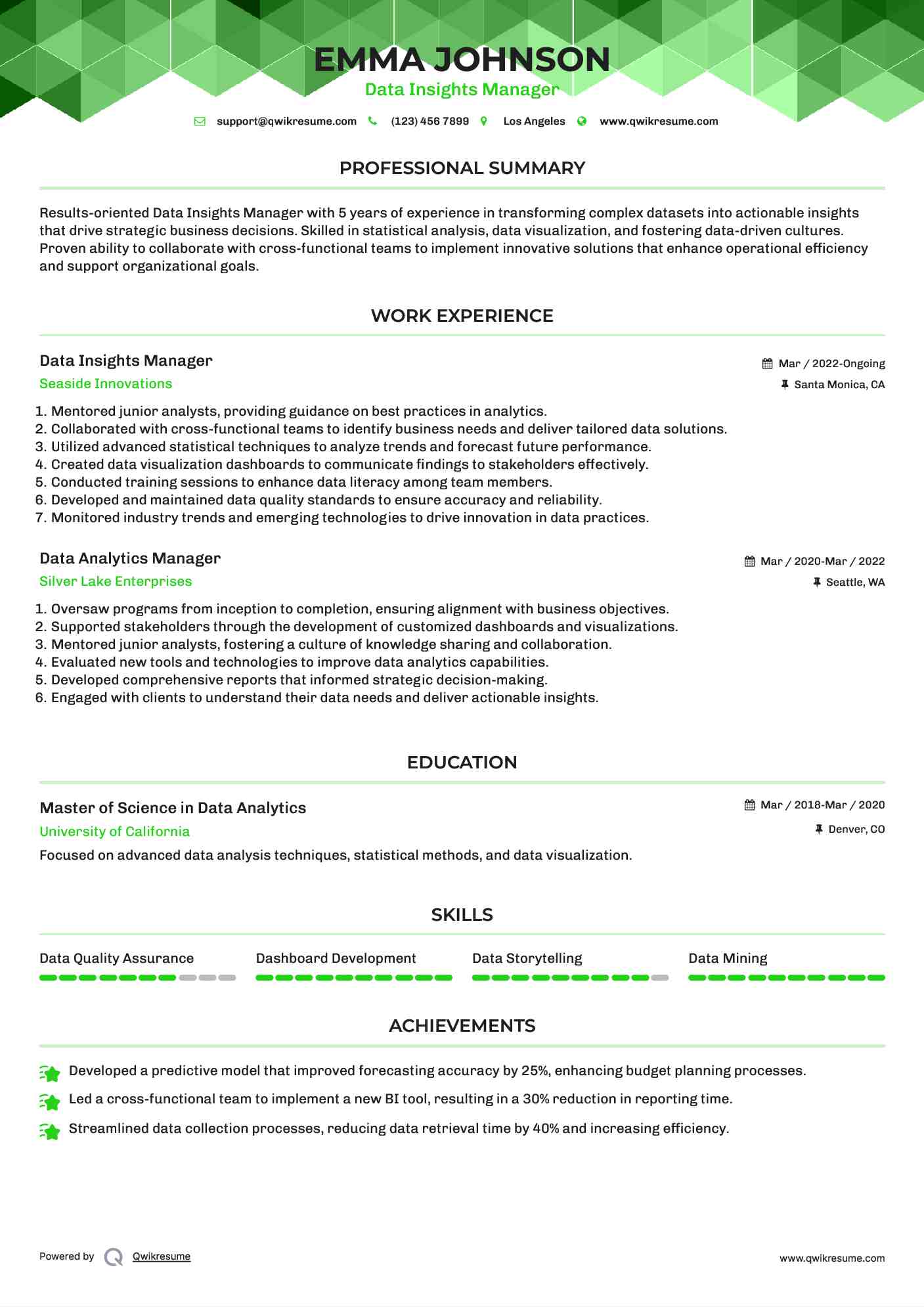 Data Insights Manager Resume Example