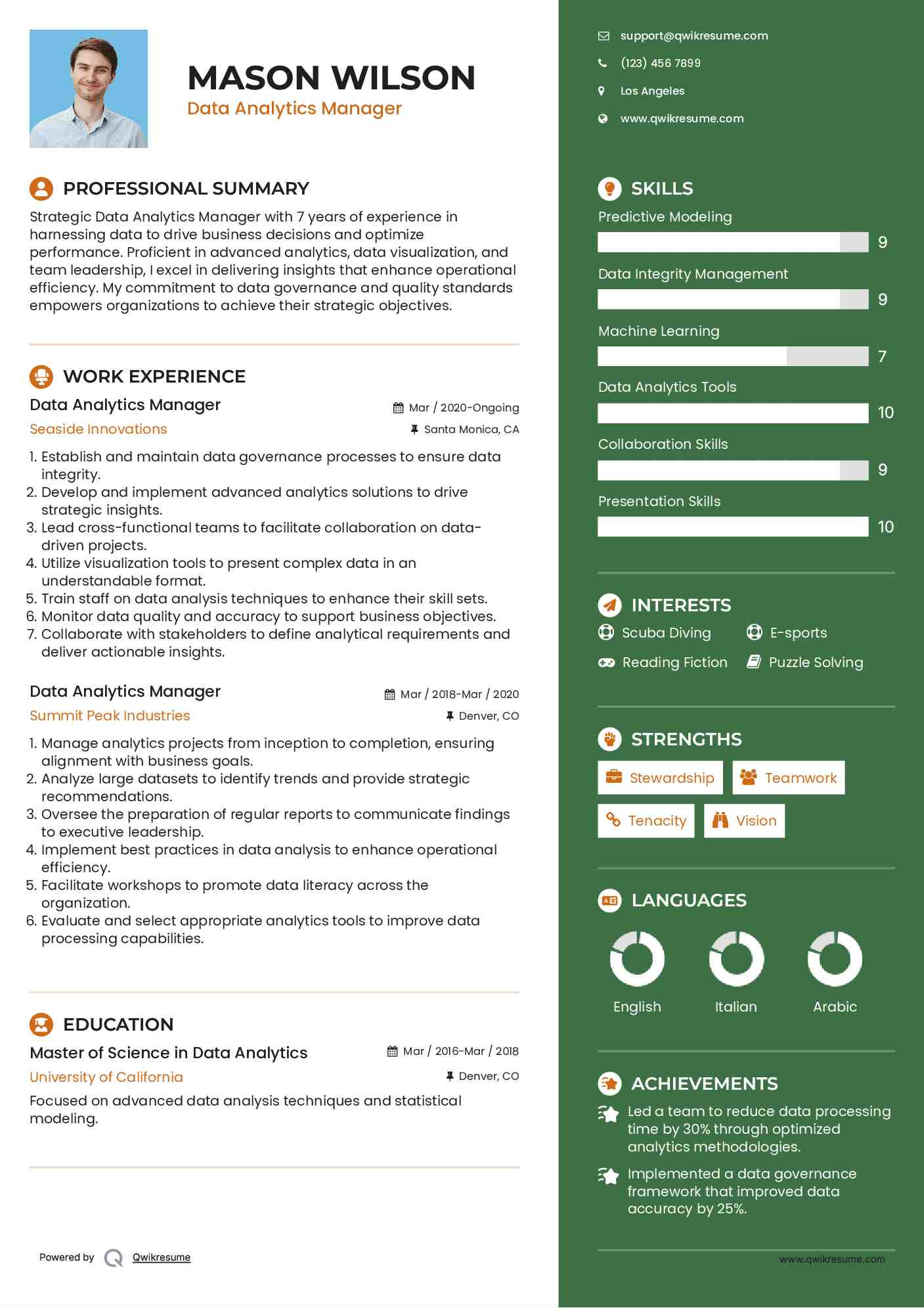 Data Analytics Manager Resume Example