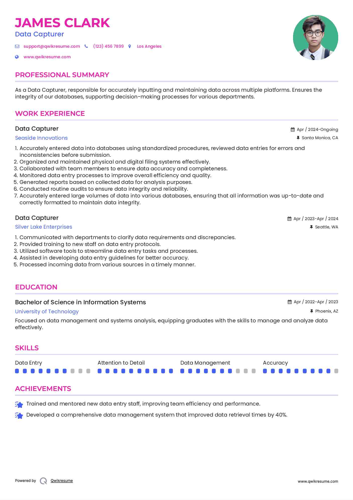 Data Capturer Resume Sample