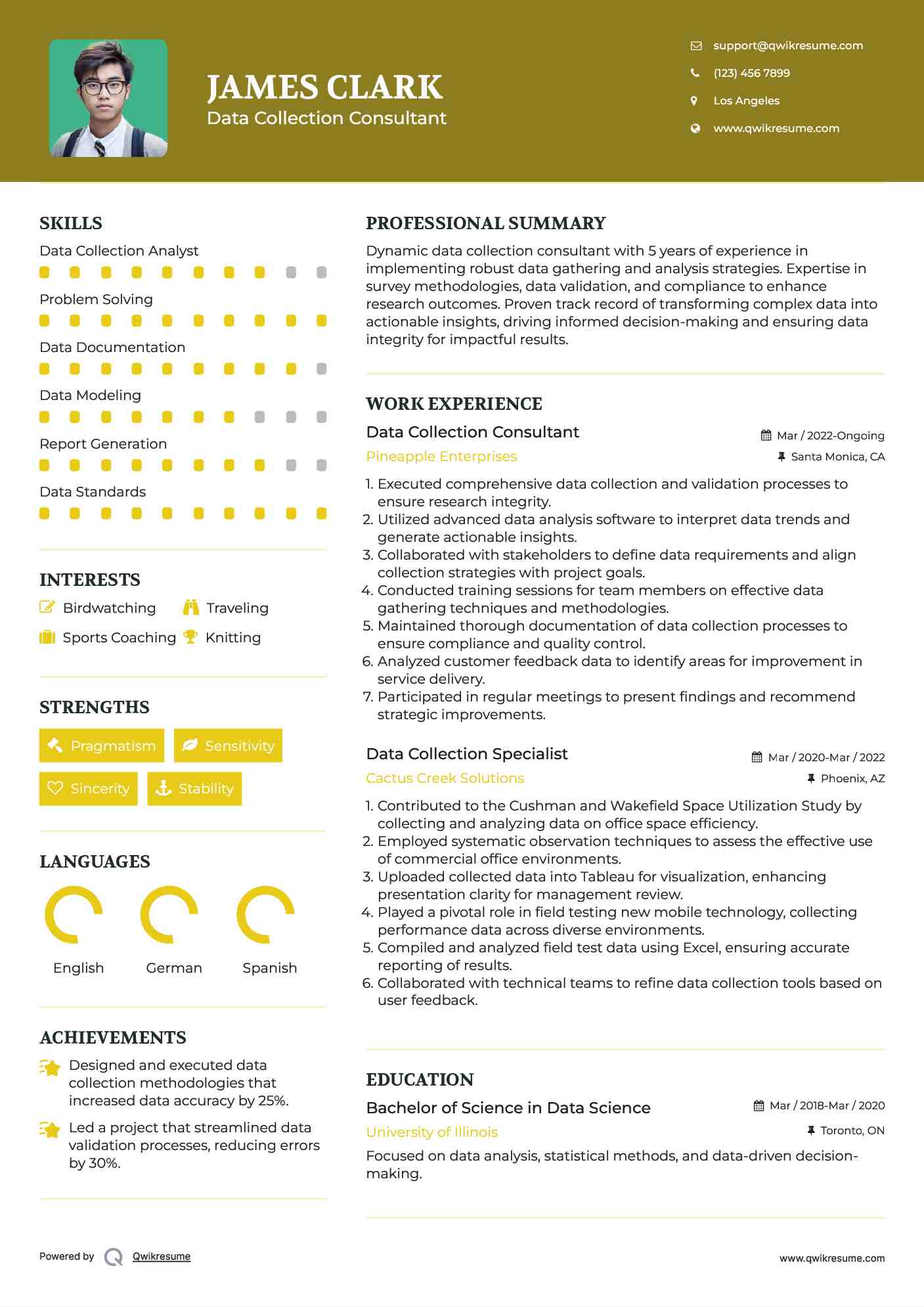 Data Collection Consultant Resume Model