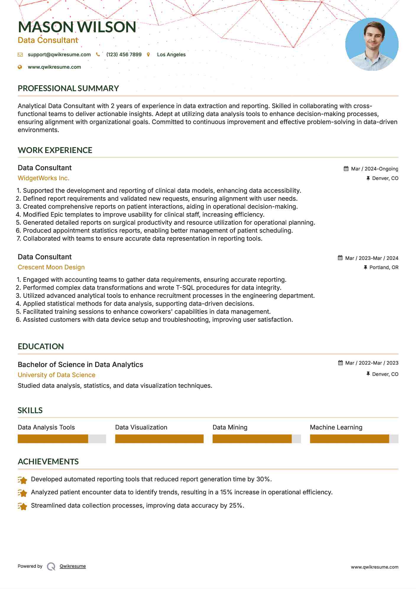 Data Consultant Resume Template