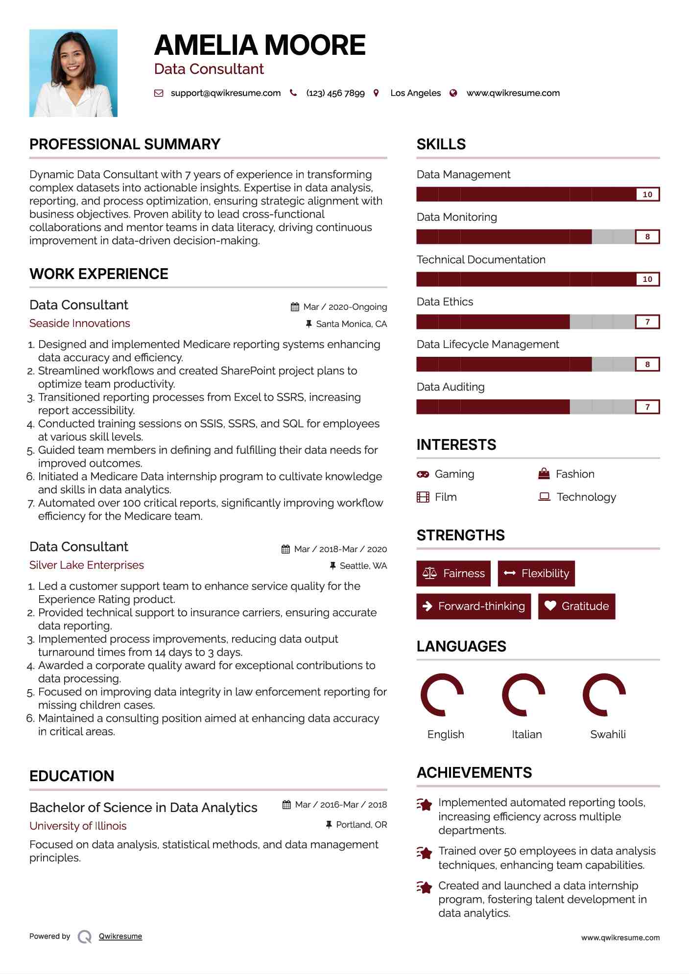 Data Consultant Resume Template