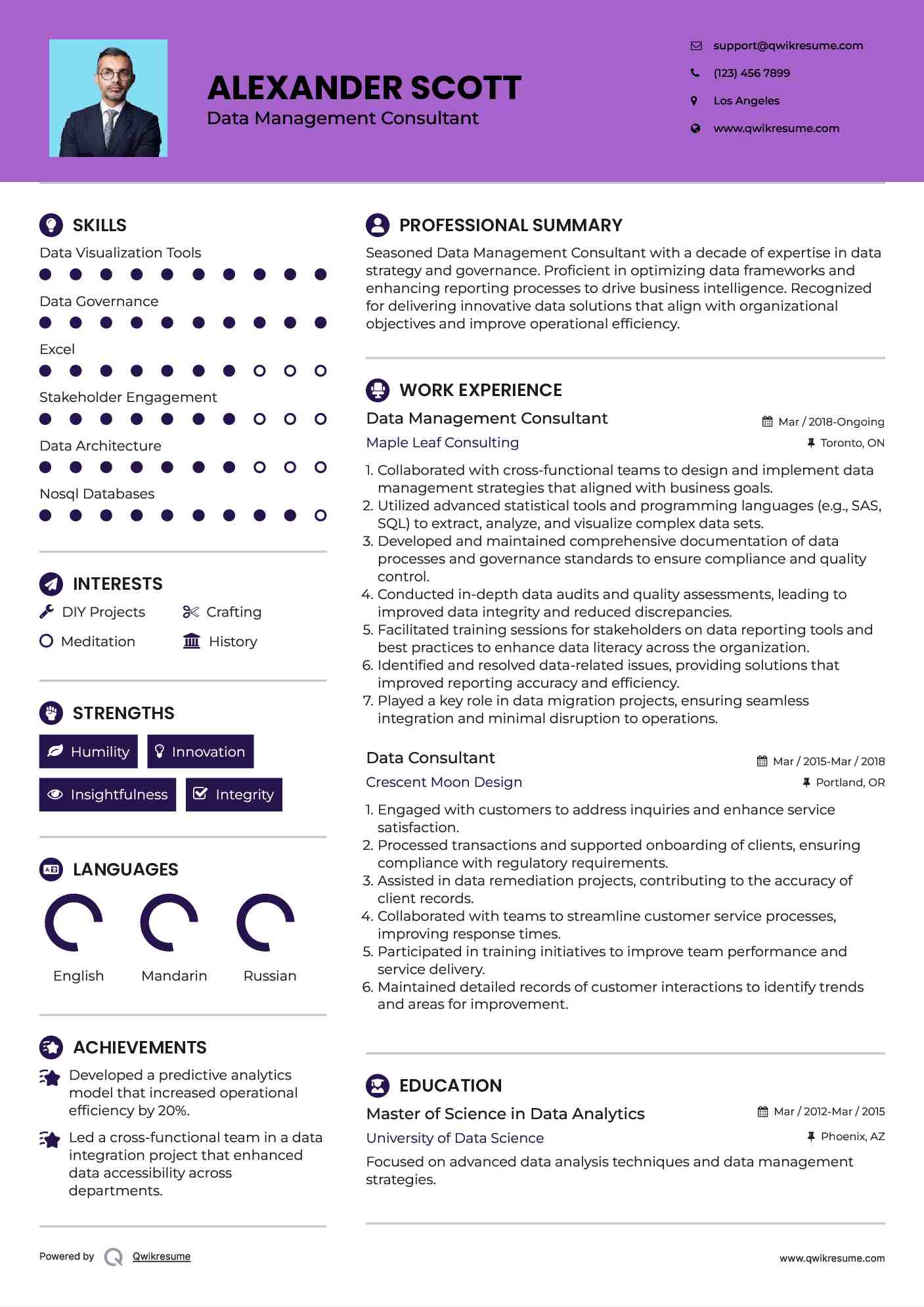 Data Management Consultant Resume Example