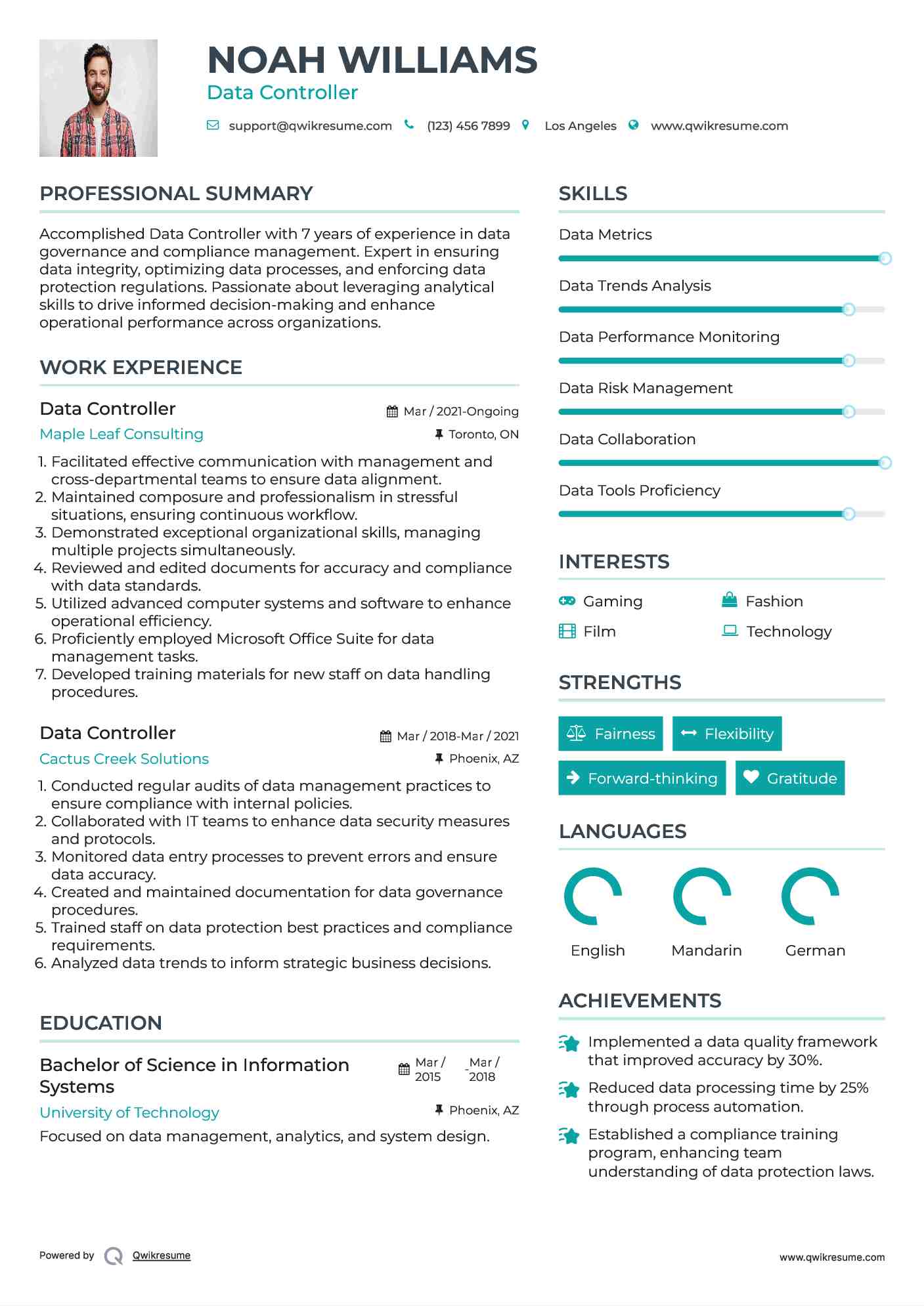 Data Controller Resume Model