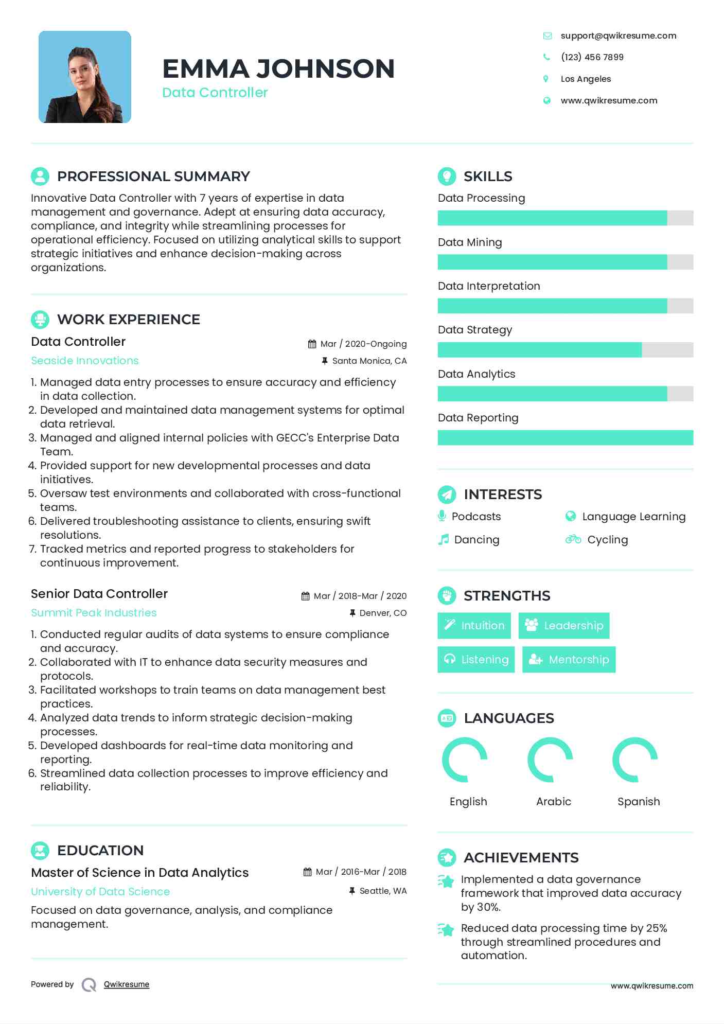 Data Controller Resume Example