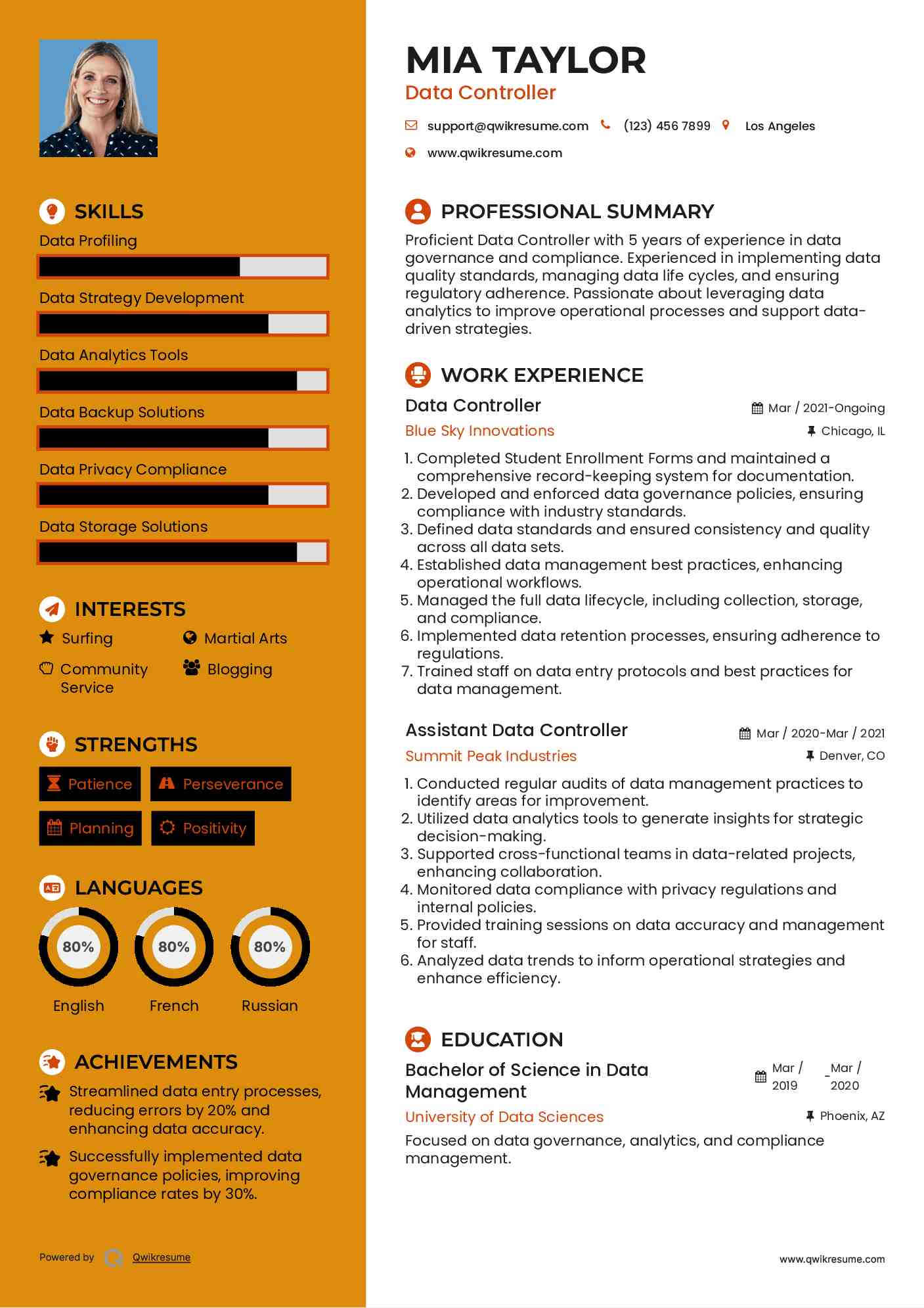 Data Controller Resume Model