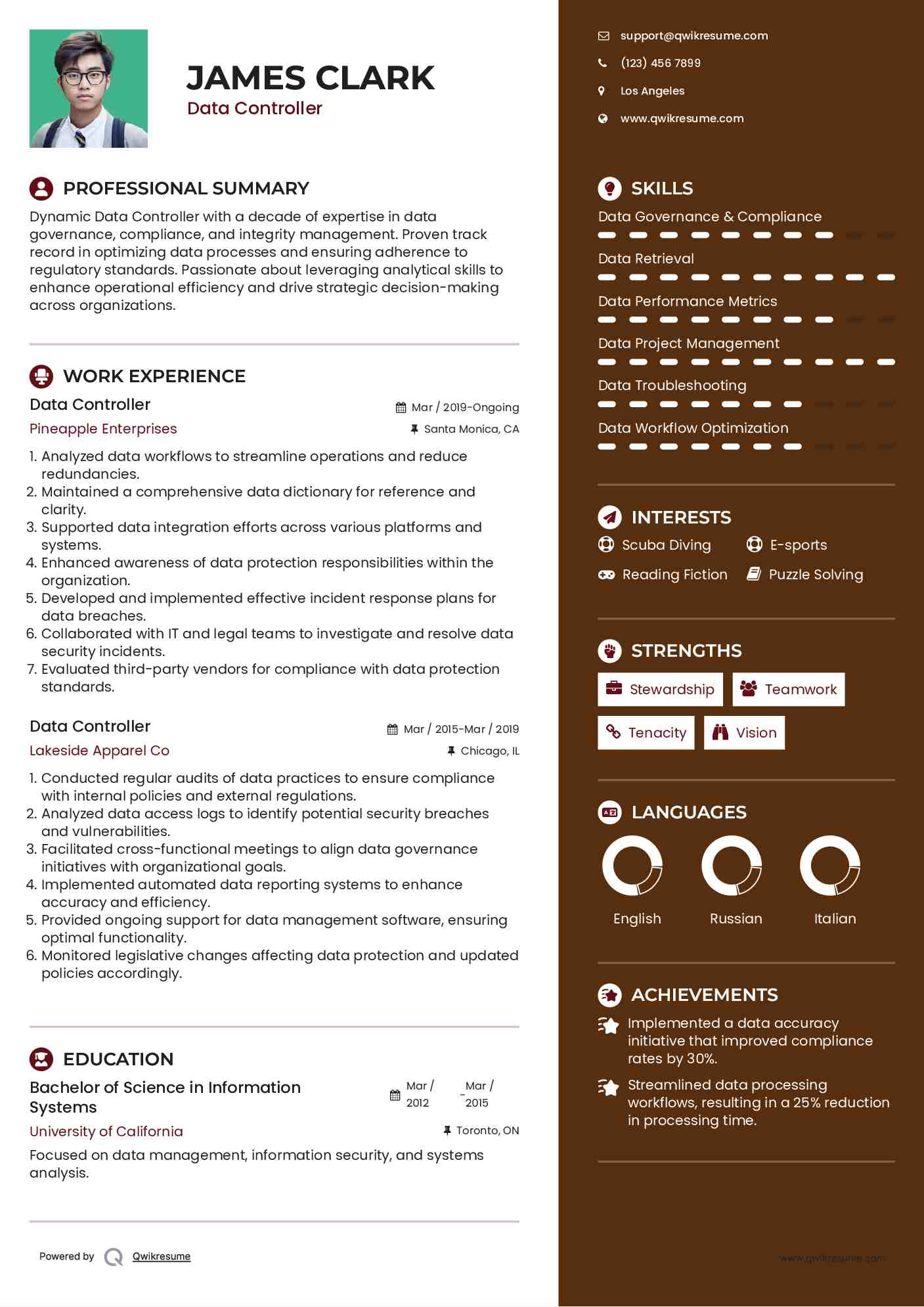 Data Controller Resume Example
