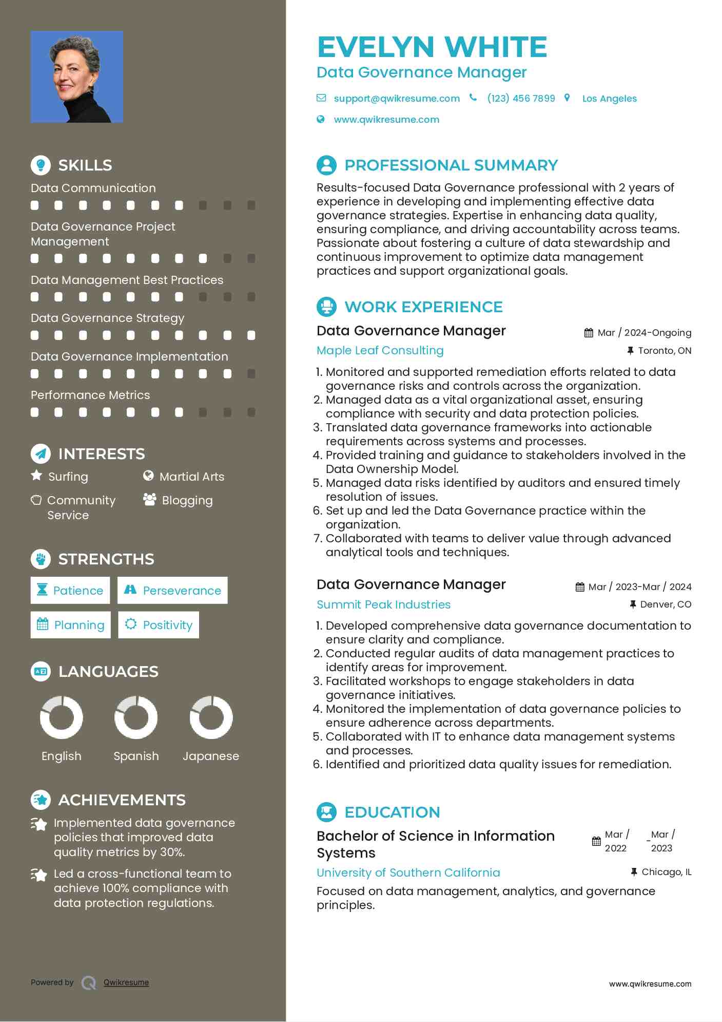 Data Governance Manager Resume Model
