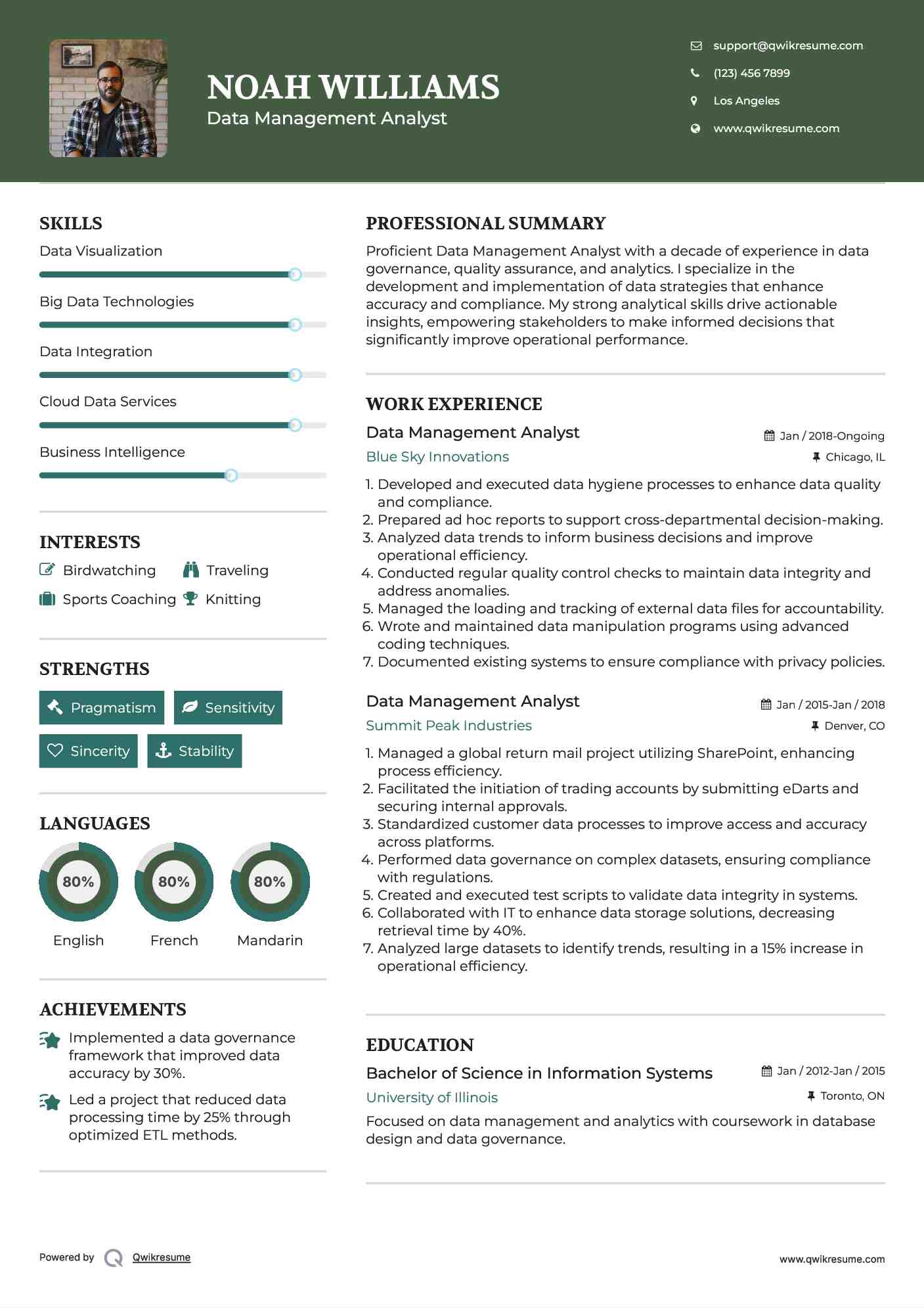 Data Management Analyst Resume Format