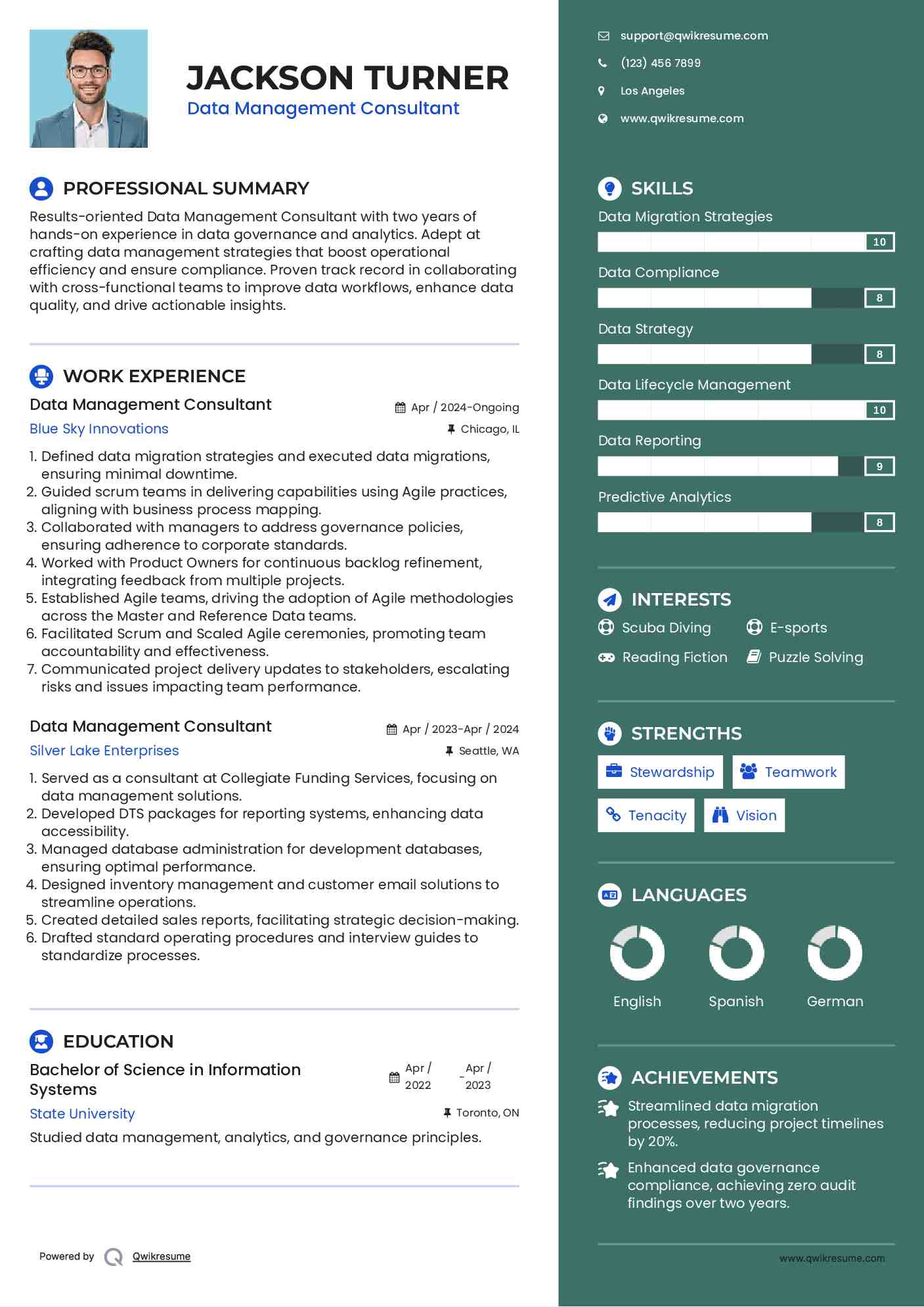 Data Management Consultant Resume Example