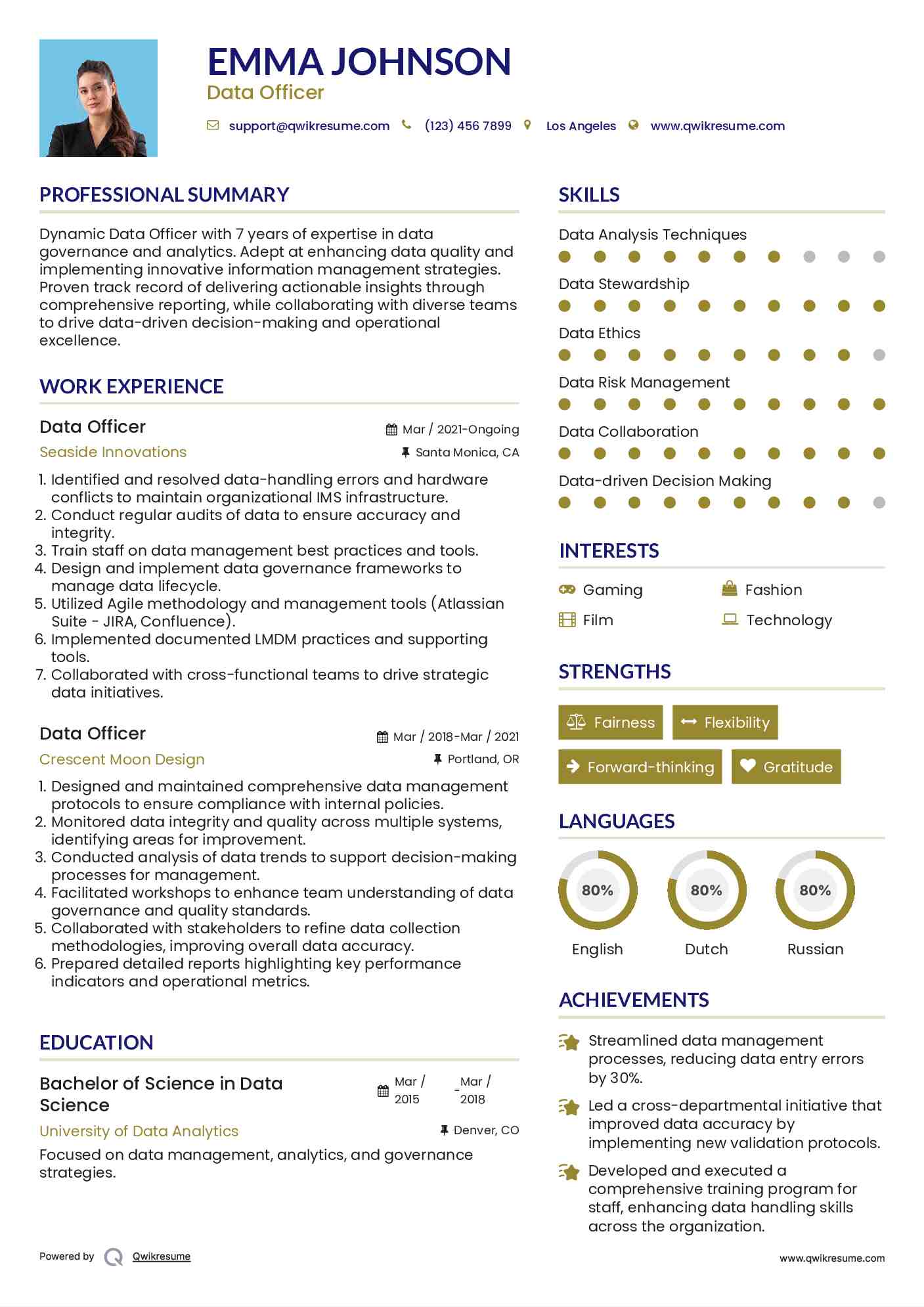 Data Officer Resume Model