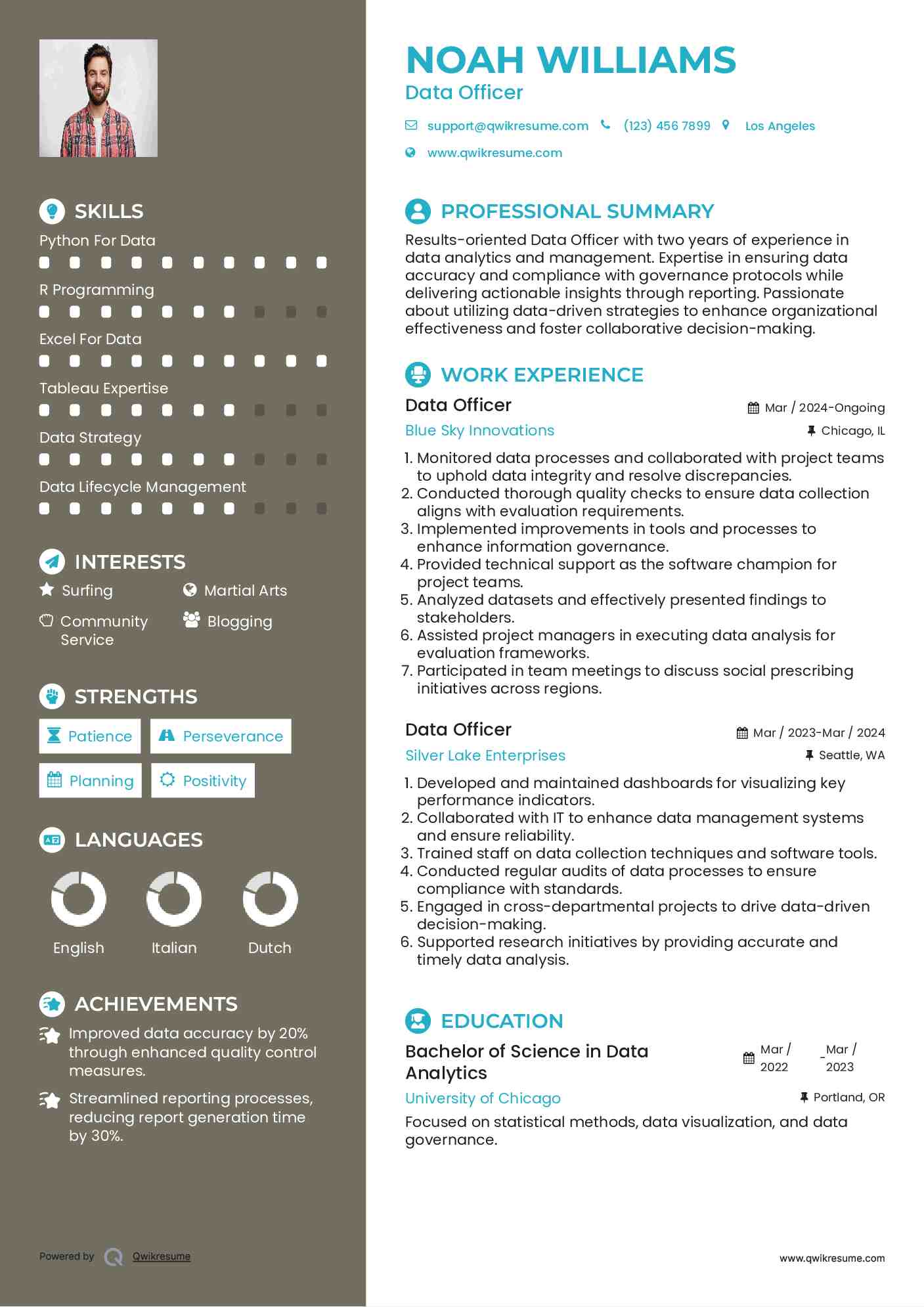 Data Officer Resume Template