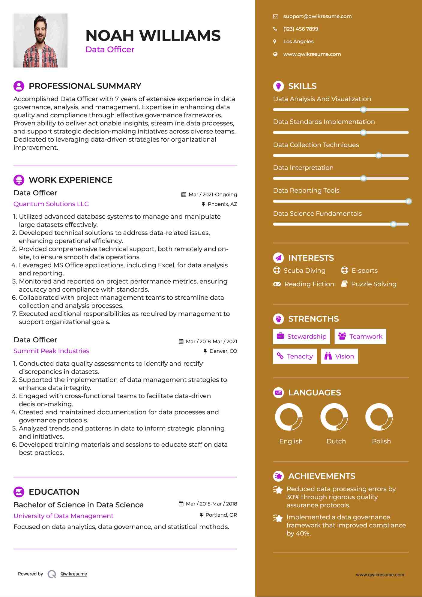 Data Officer Resume Model