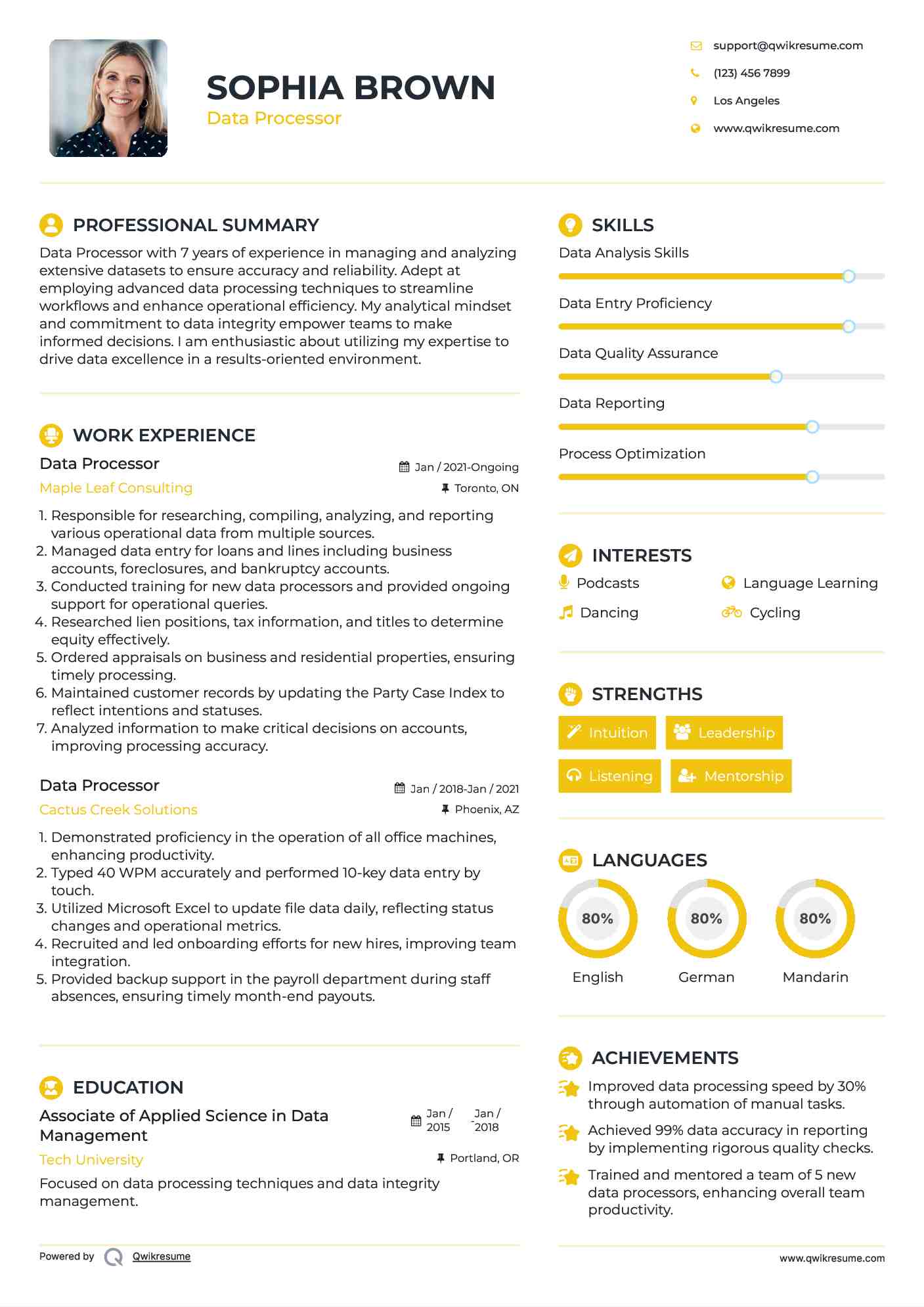 Data Processor Resume Example