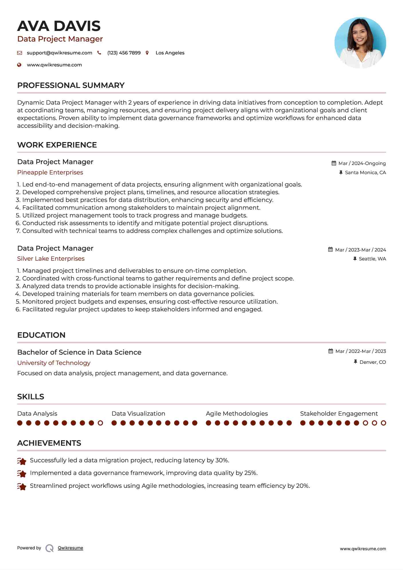 Data Project Manager Resume Model