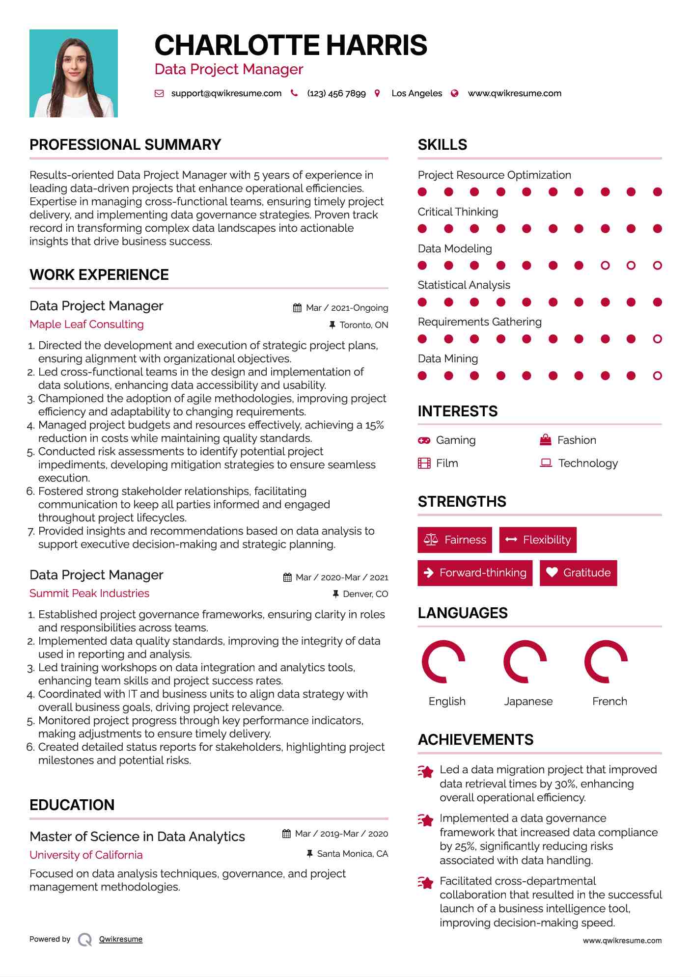 Data Project Manager Resume Example